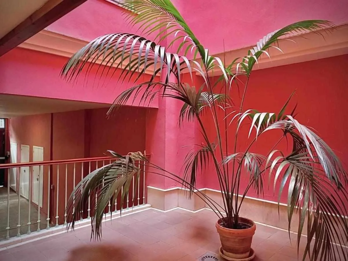 Inner courtyard view in Apartamento sauceda 7