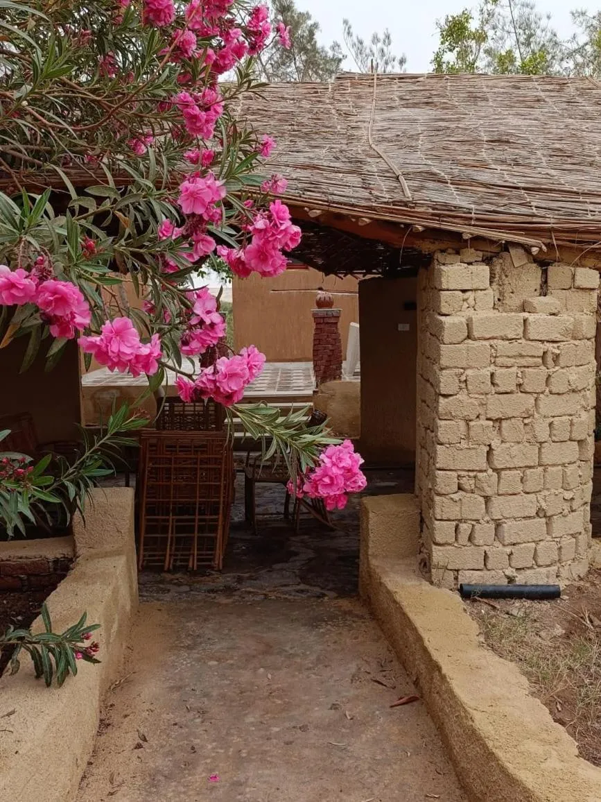 Badry Sahara Camp
