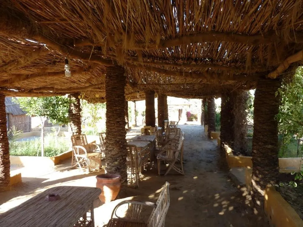 Badry Sahara Camp