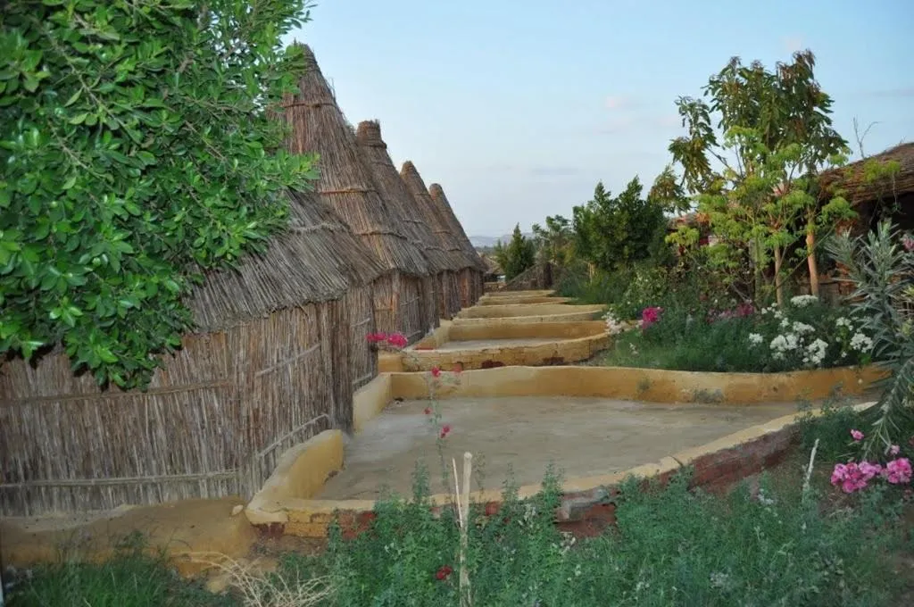 Badry Sahara Camp