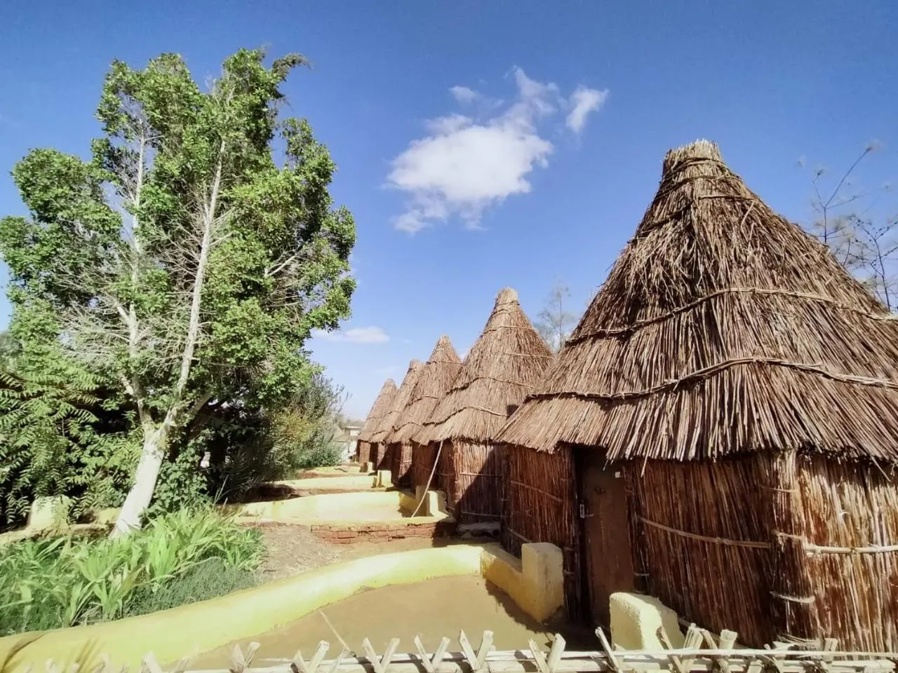 Badry Sahara Camp