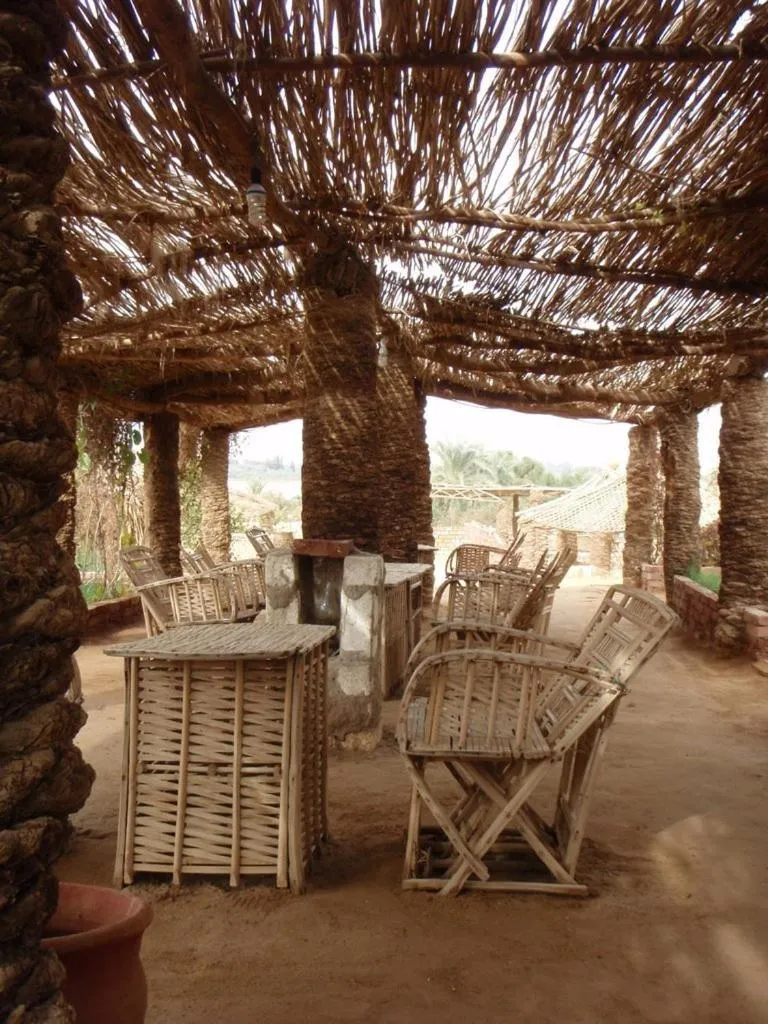 Badry Sahara Camp