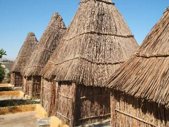 Badry Sahara Camp