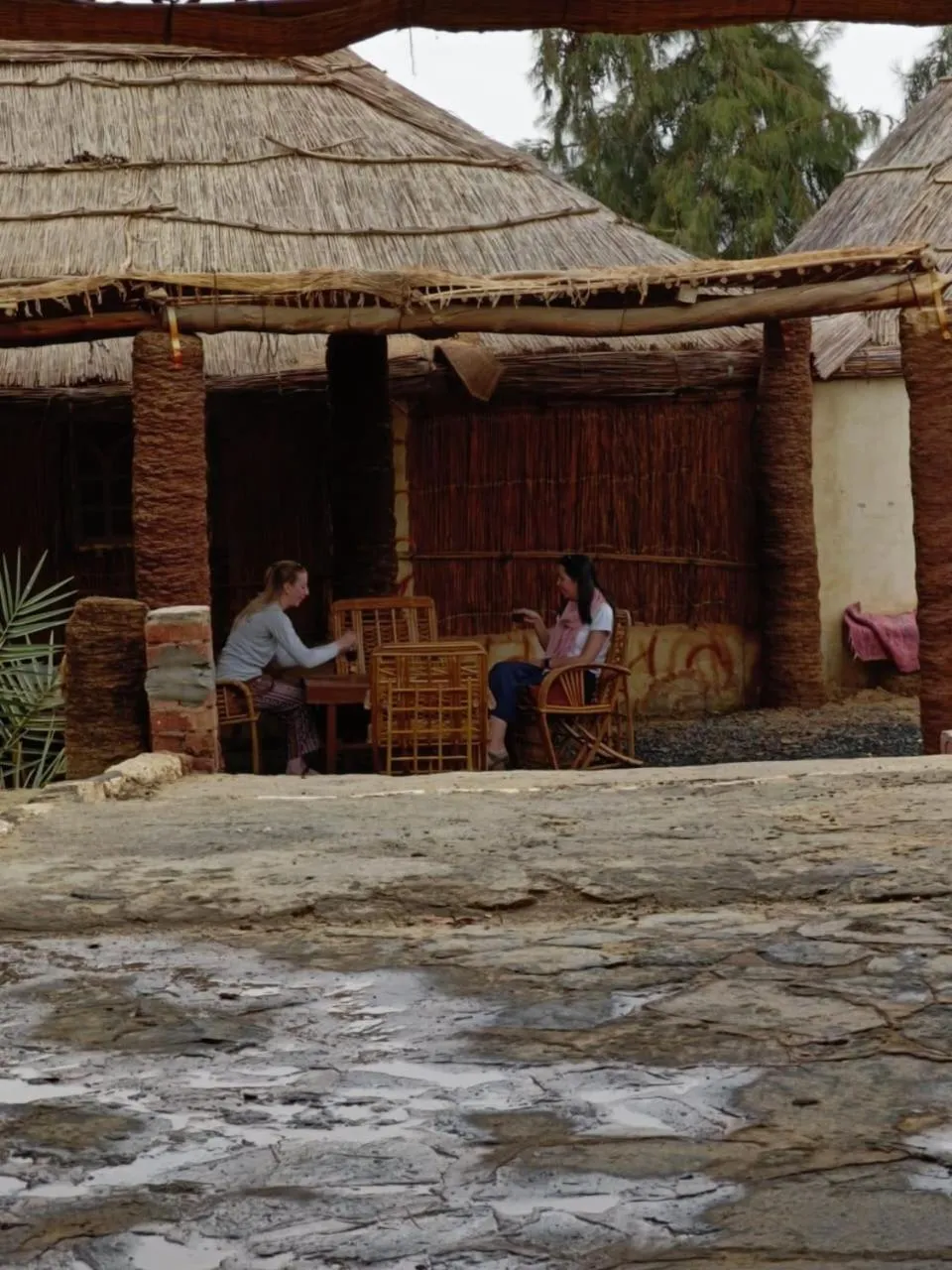 Badry Sahara Camp