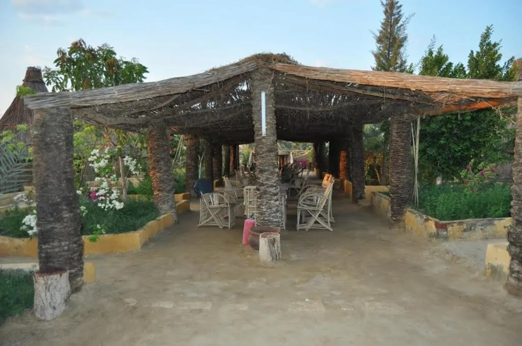 Badry Sahara Camp