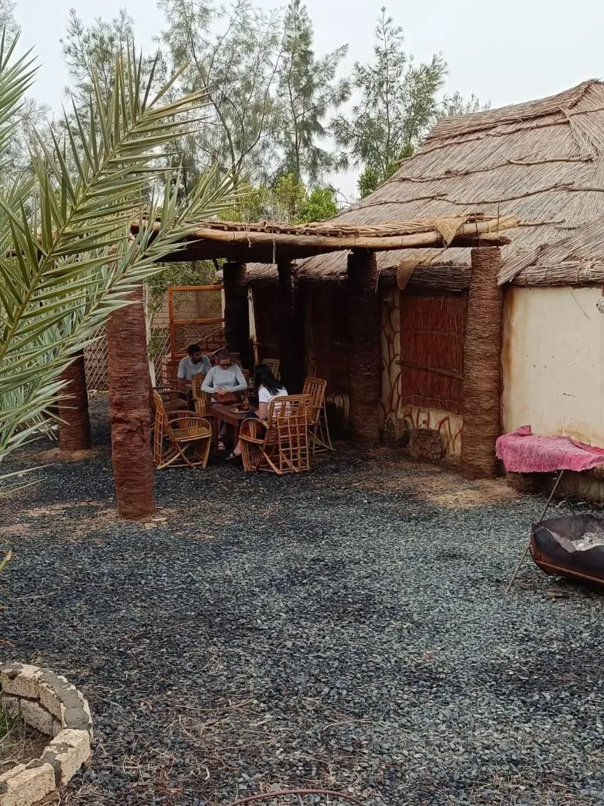 Badry Sahara Camp