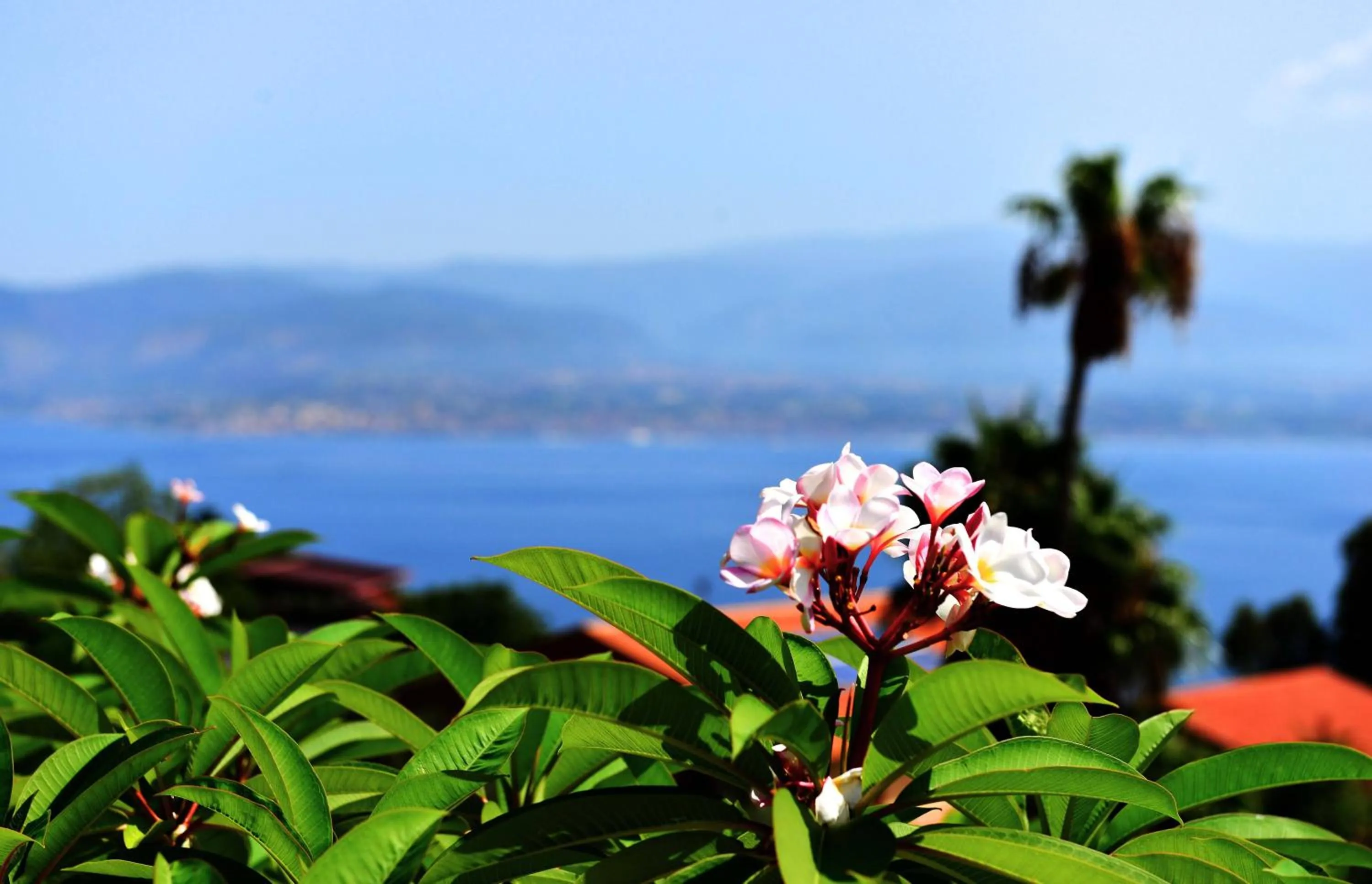 Sea view in Villa Scilla e Cariddi