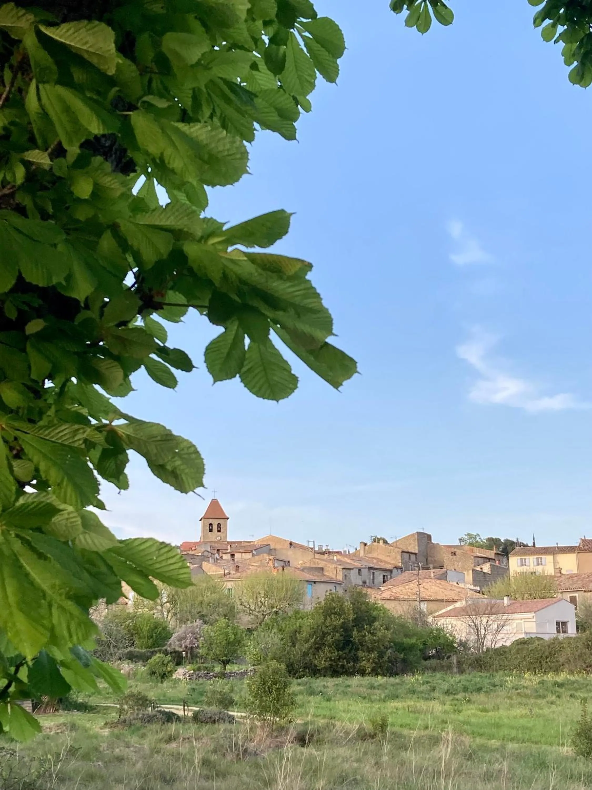 Neighbourhood in CheRiedel Bed & Breakfast & Art Gallery