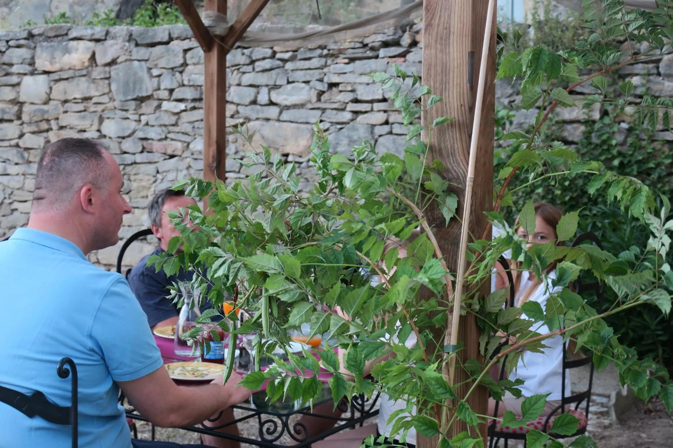 Garden in CheRiedel Bed & Breakfast & Art Gallery