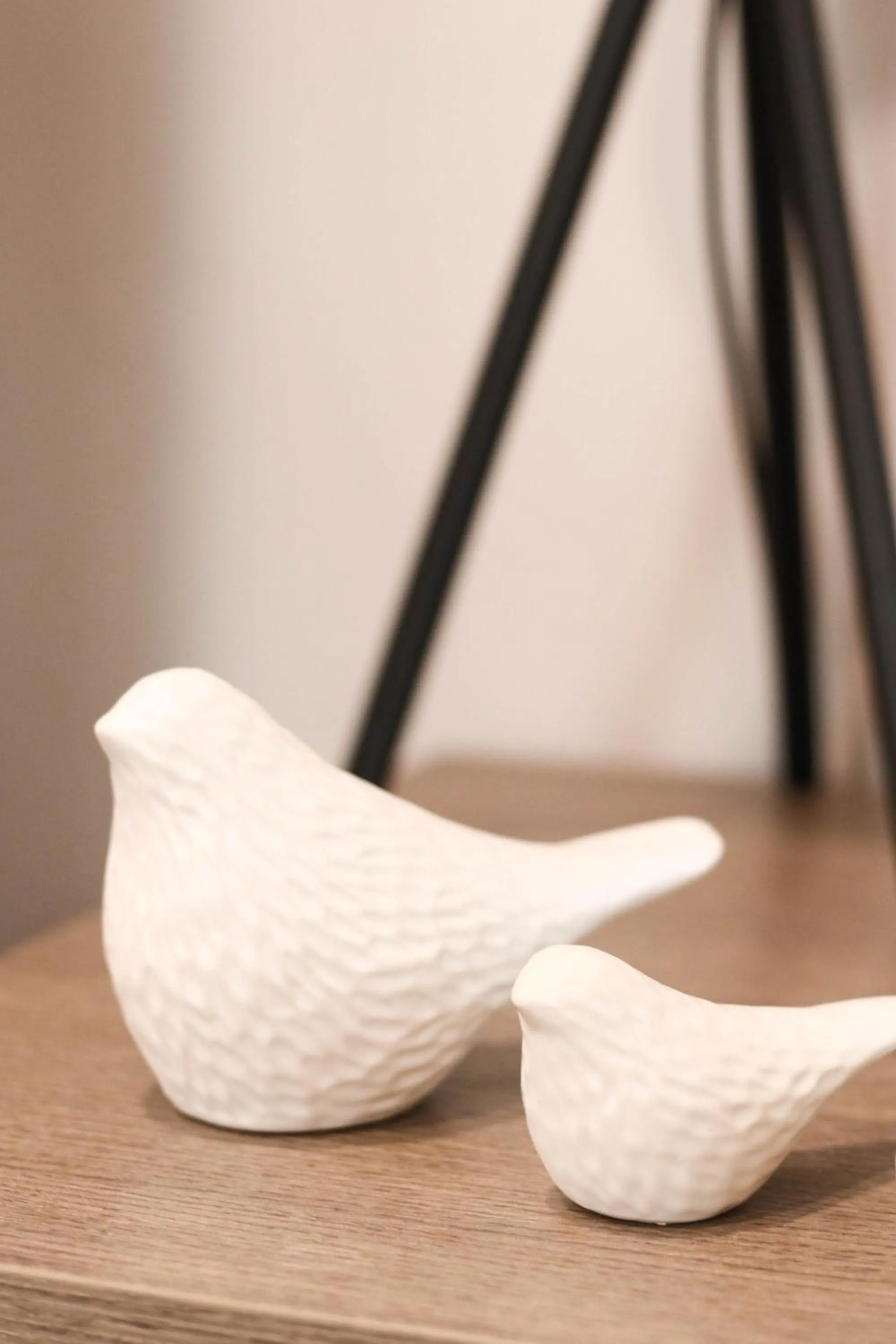 Decorative detail in Hotel Bienestar Termas De Vizela