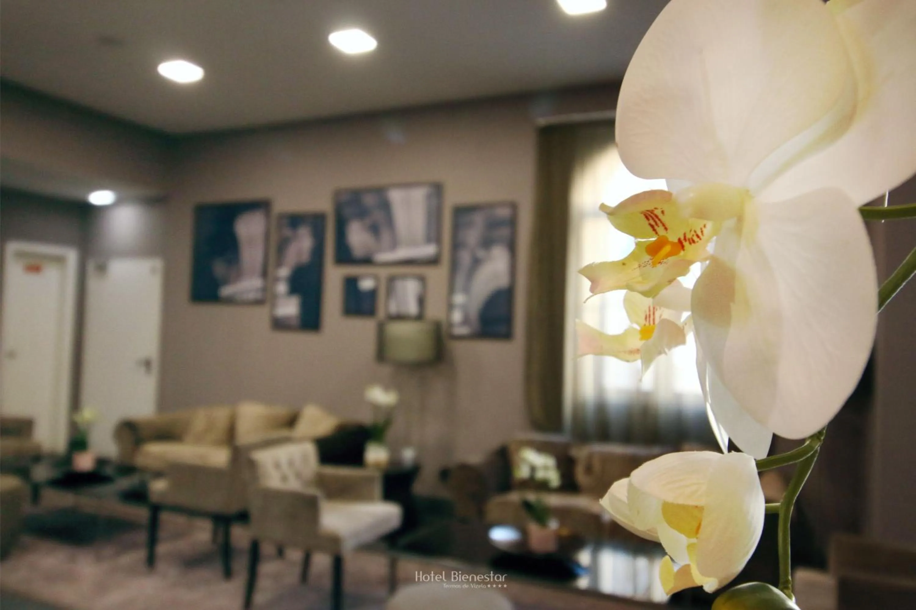 Lobby or reception in Hotel Bienestar Termas De Vizela