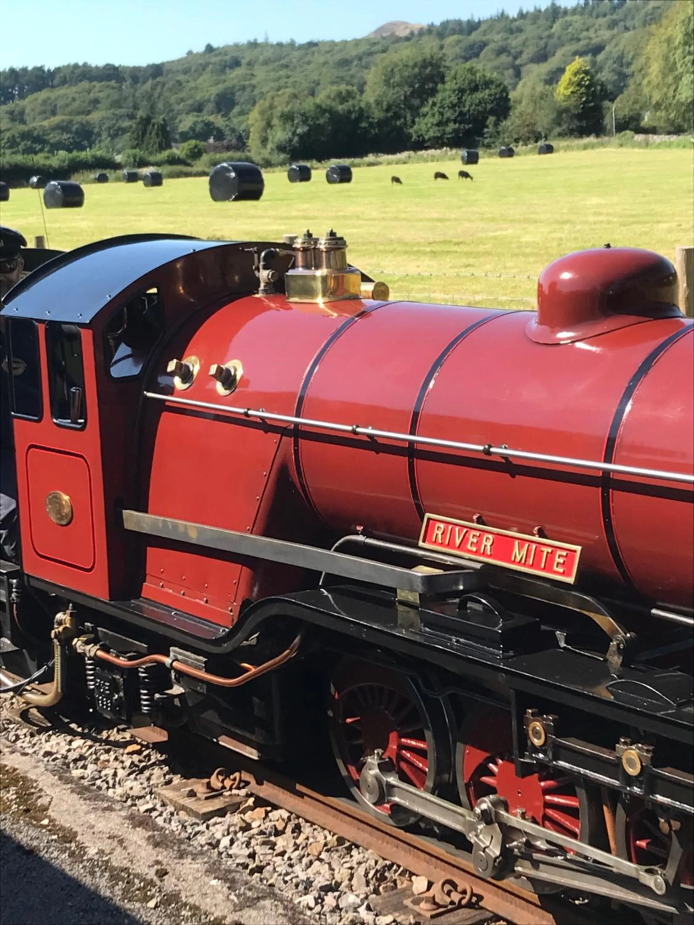 Activities in Dale View bed & breakfast