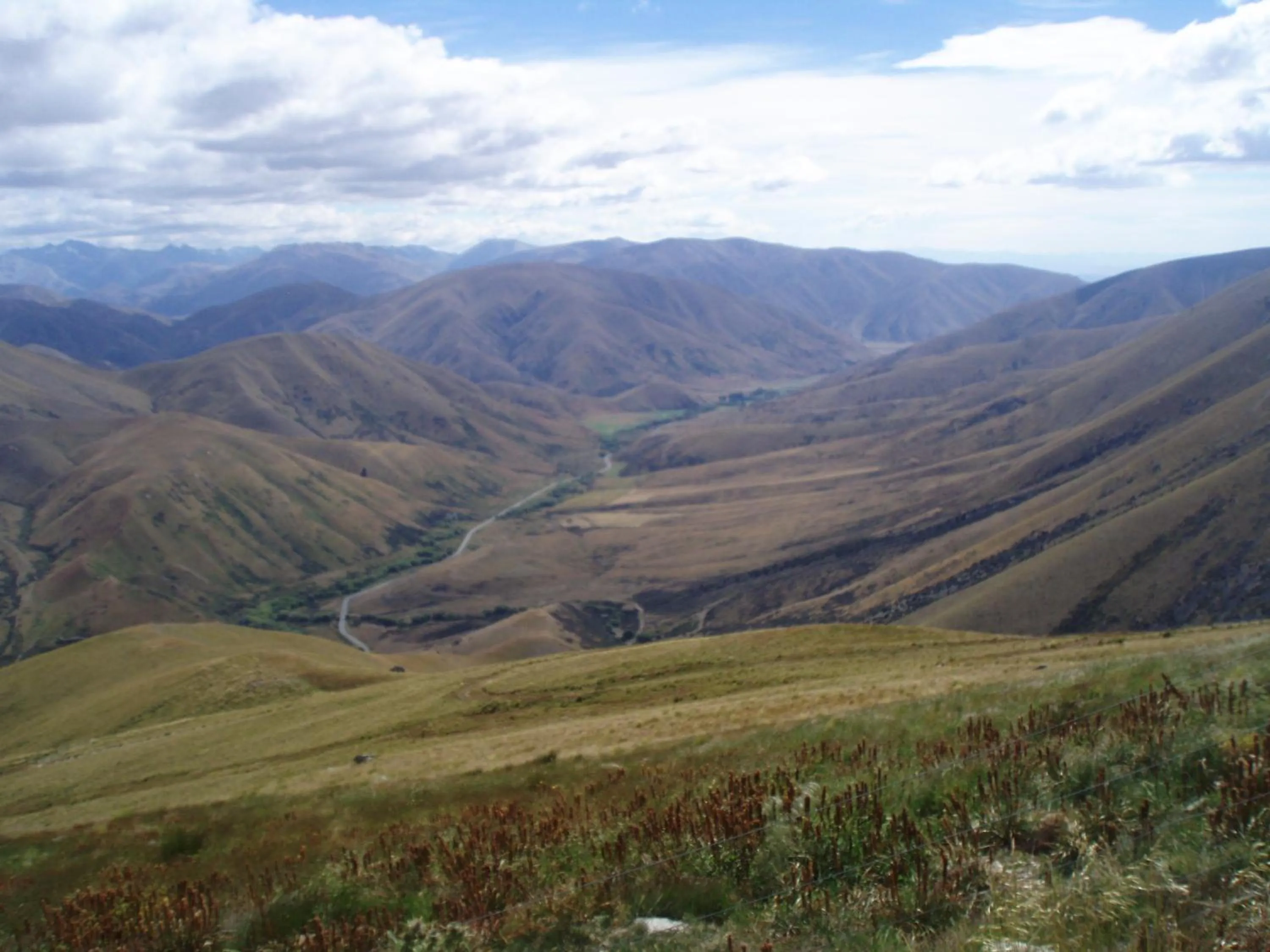 Area and facilities in Dunstan Downs High Country Sheep Station