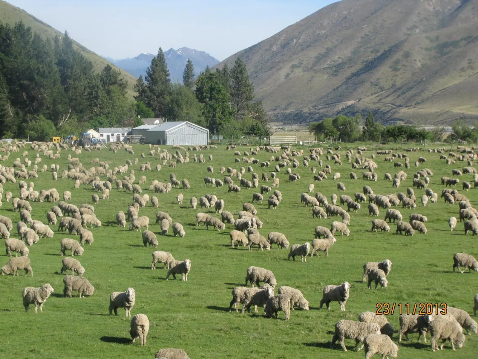 Area and facilities in Dunstan Downs High Country Sheep Station