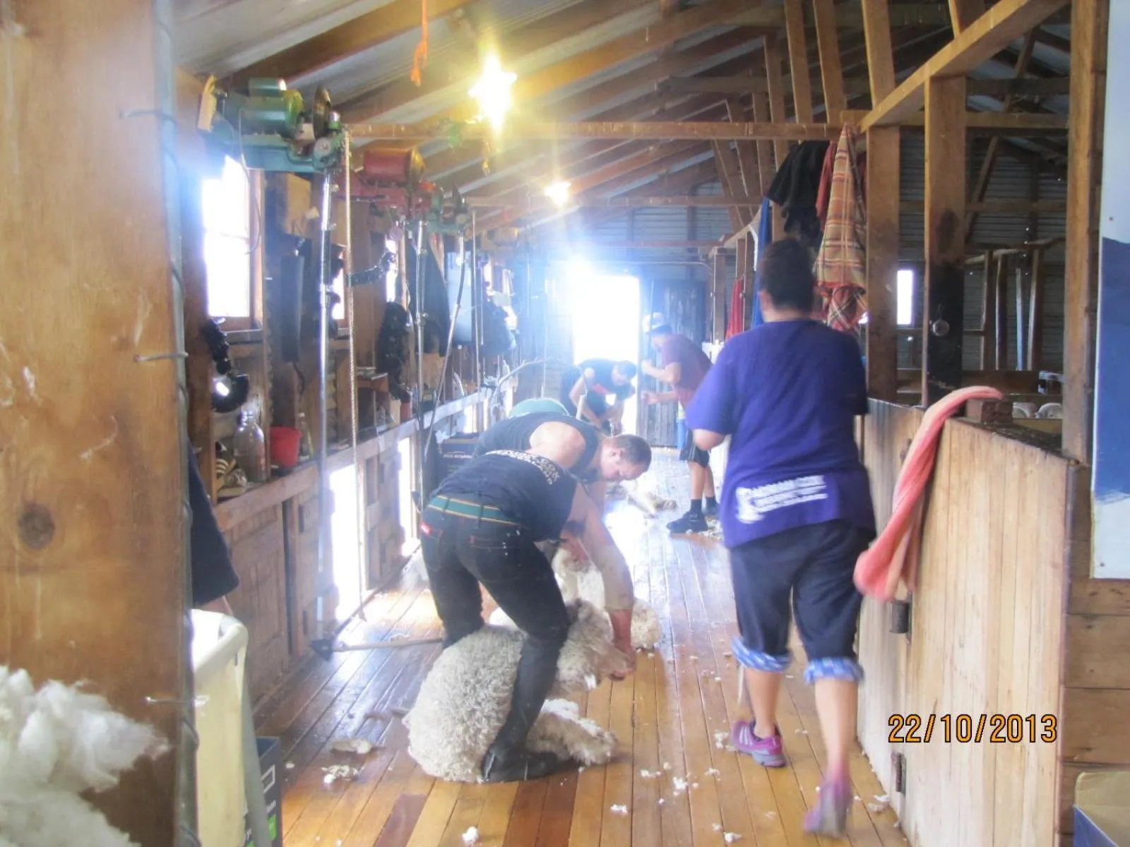 Other in Dunstan Downs High Country Sheep Station