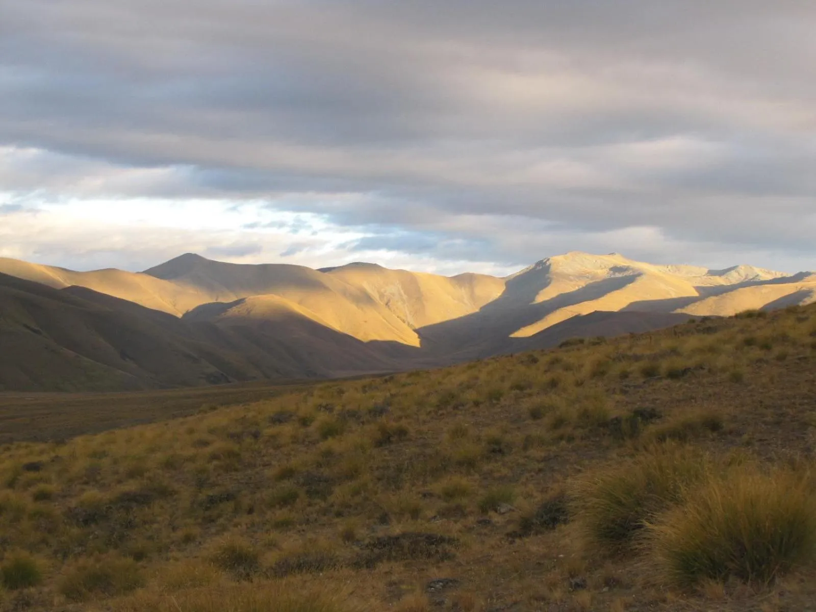 Area and facilities in Dunstan Downs High Country Sheep Station