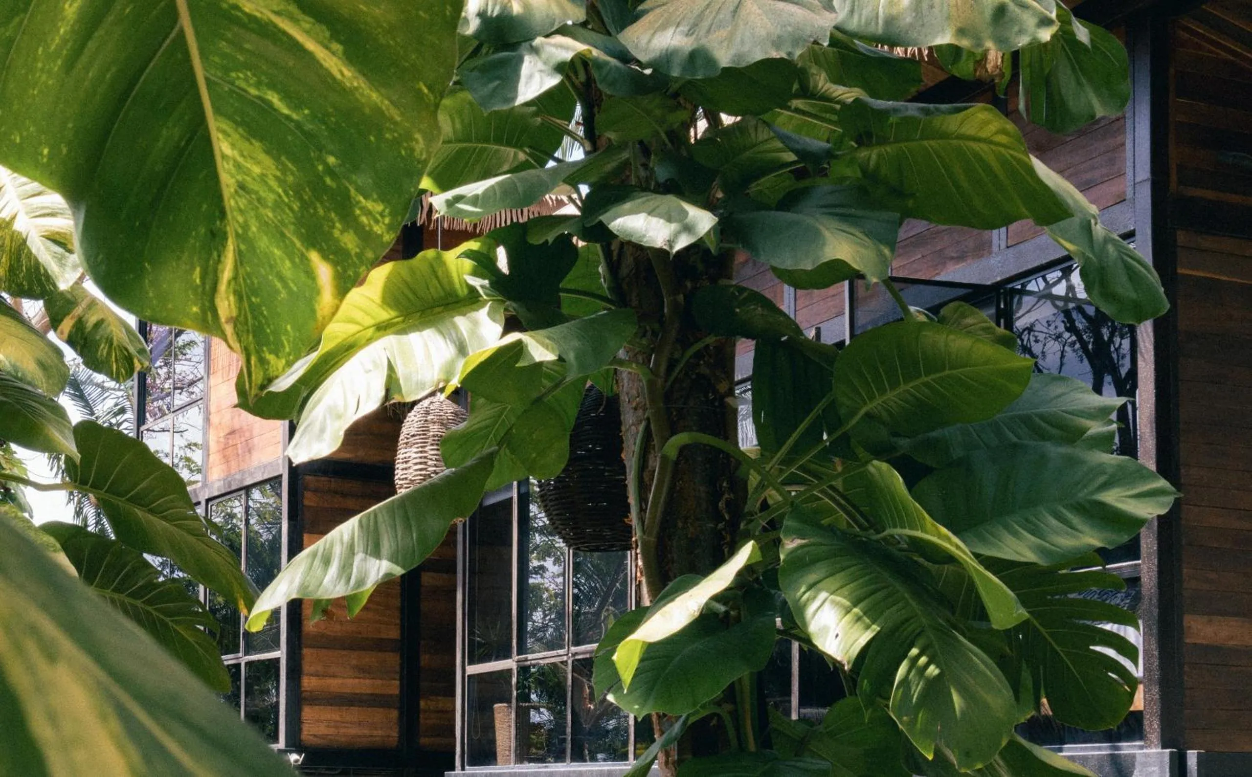 Day in Casa Selva Sayulita