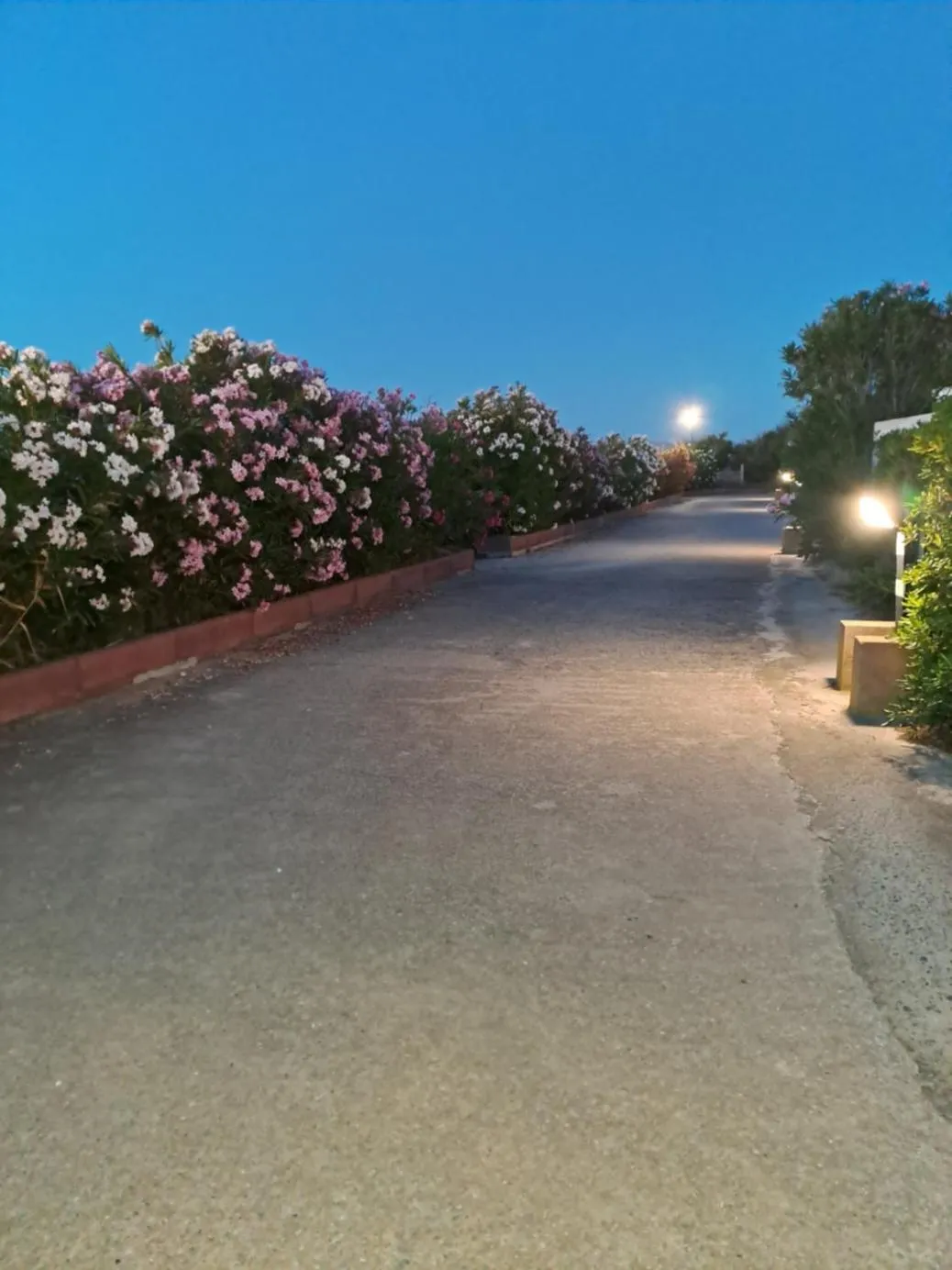 Garden view in Cala di Seta Apartment - Rubino