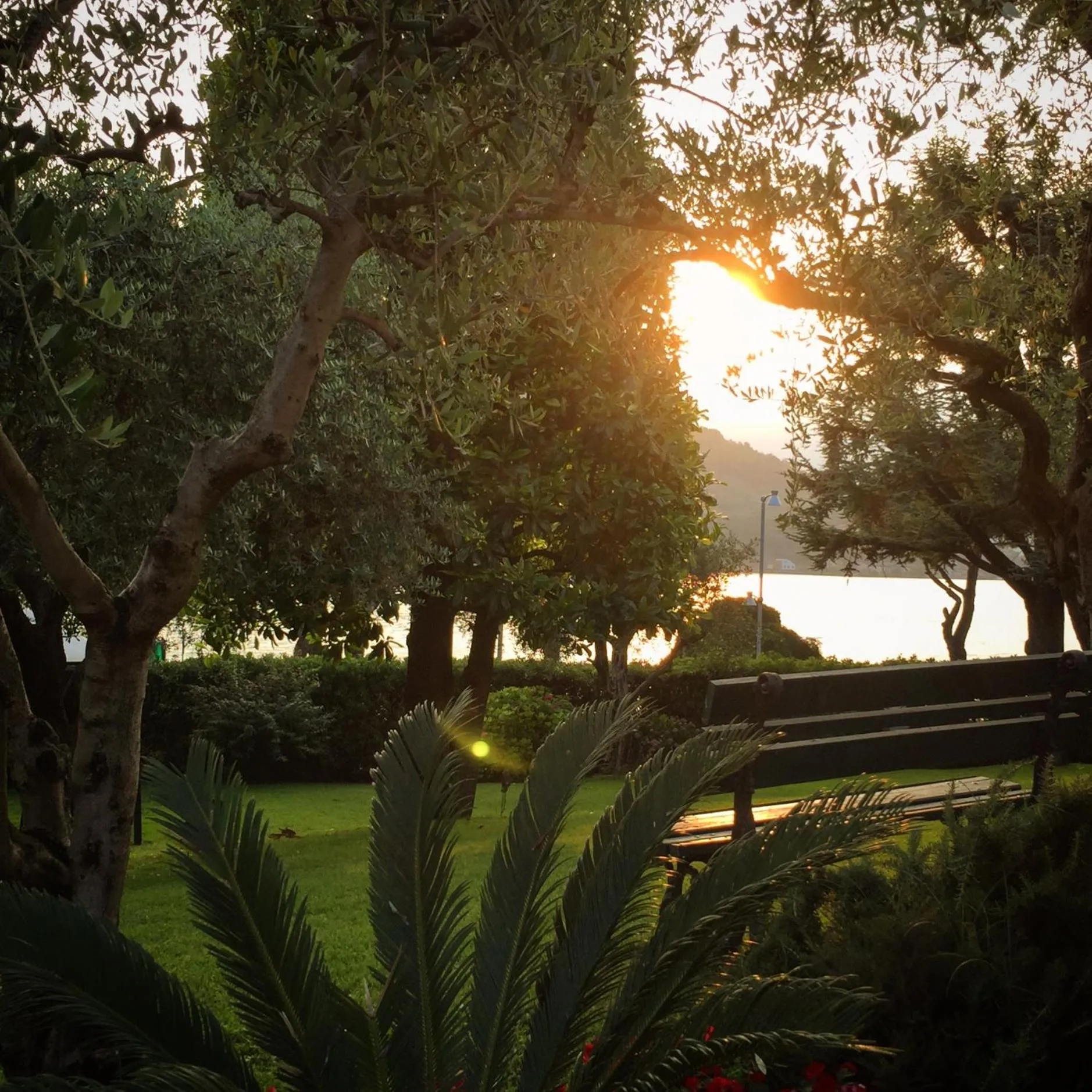 Garden in Villa Kinzica