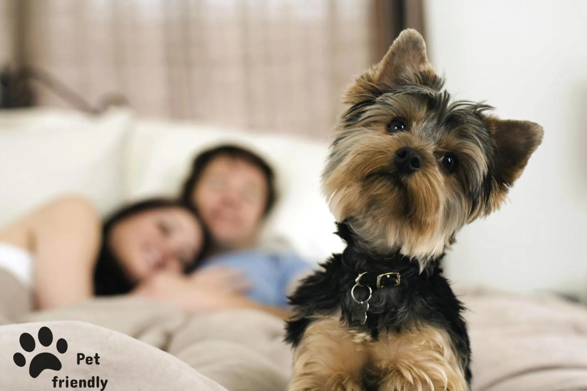 Patio in Villa Kinzica