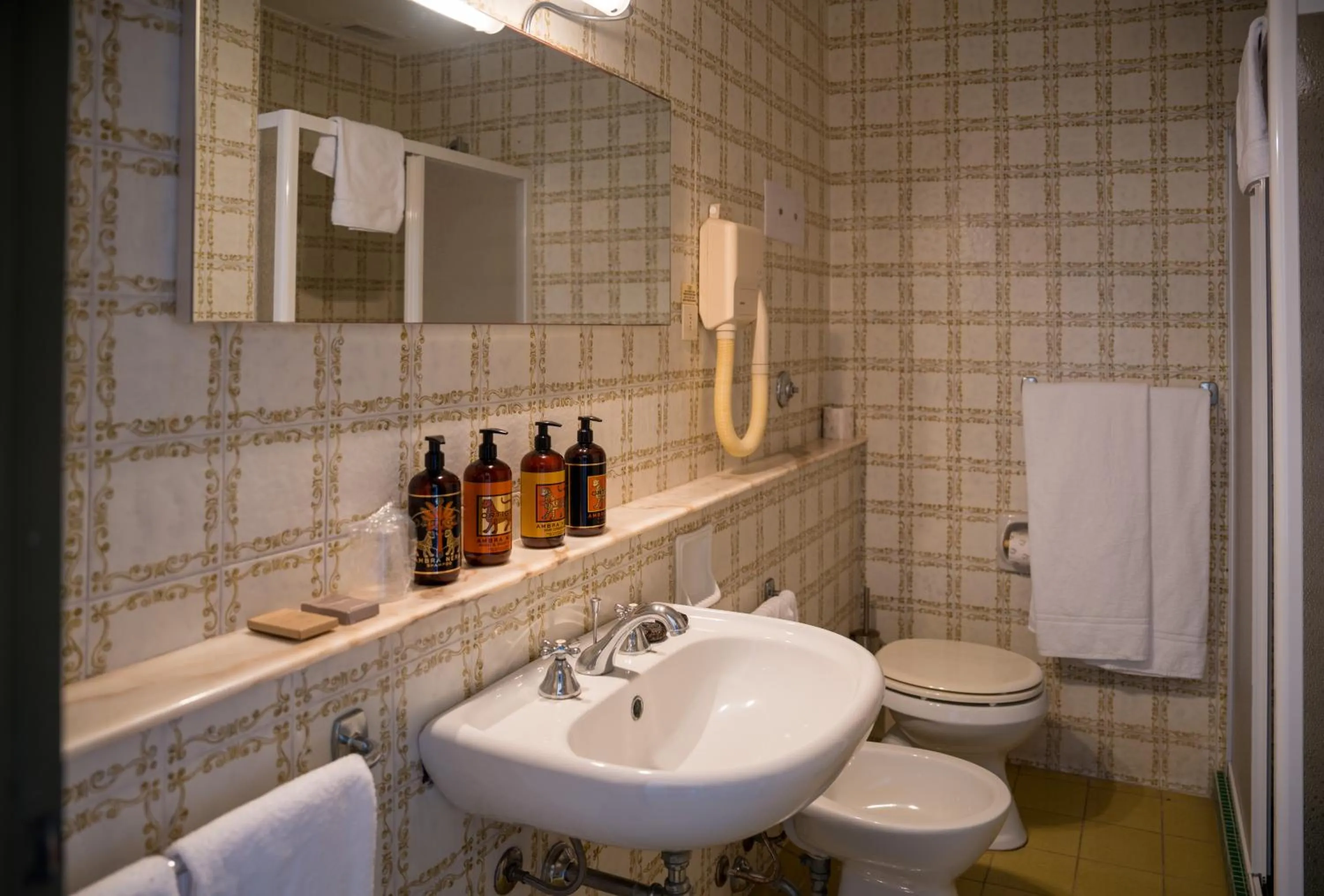 Shower in Hotel Carasco