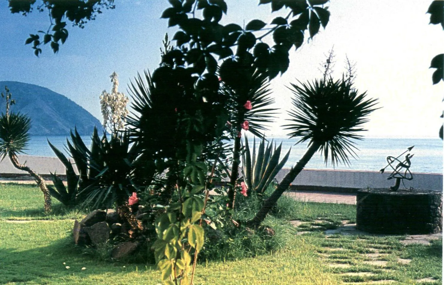 Day in Hotel Carasco