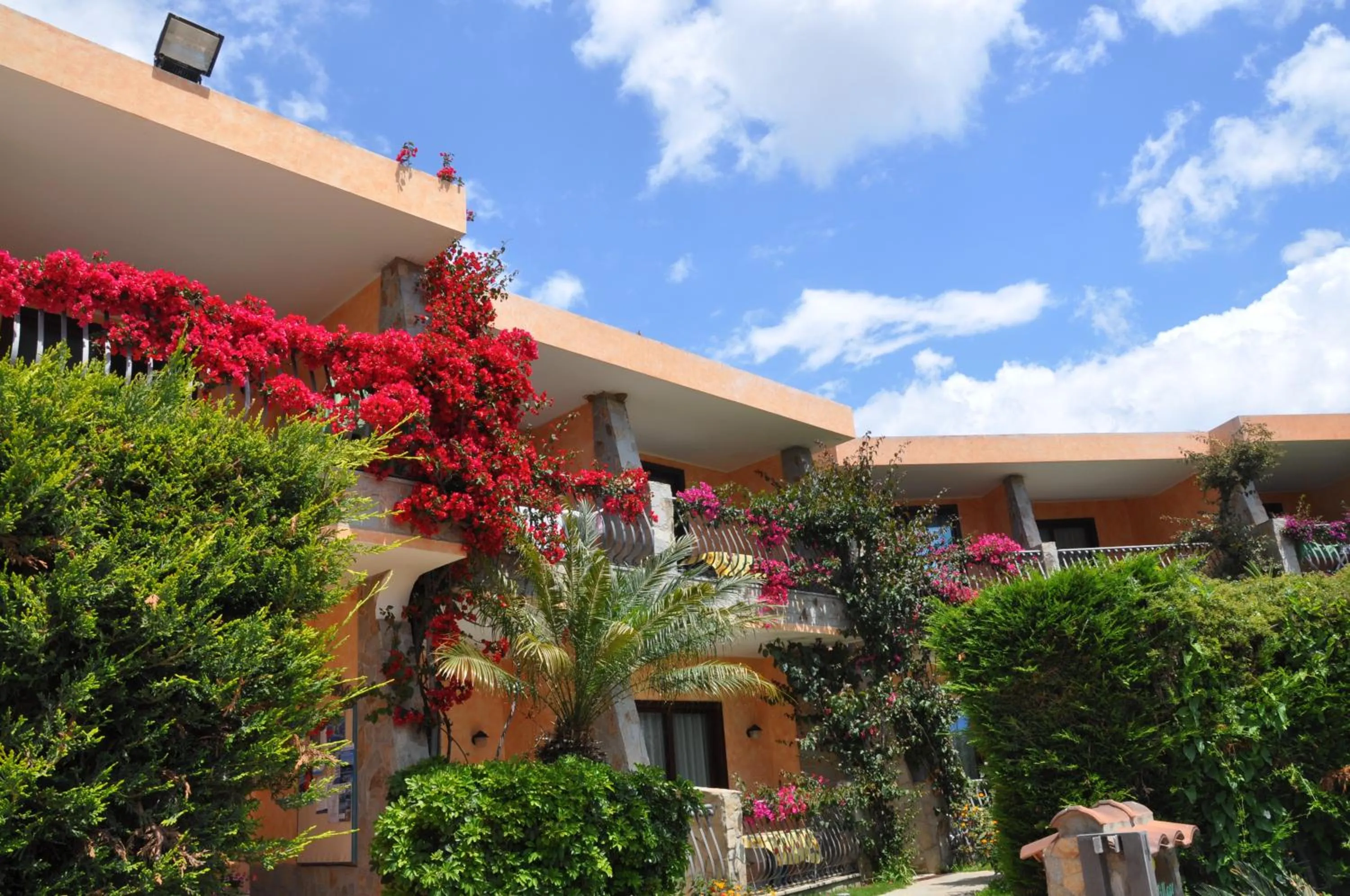 Garden in Palm Village