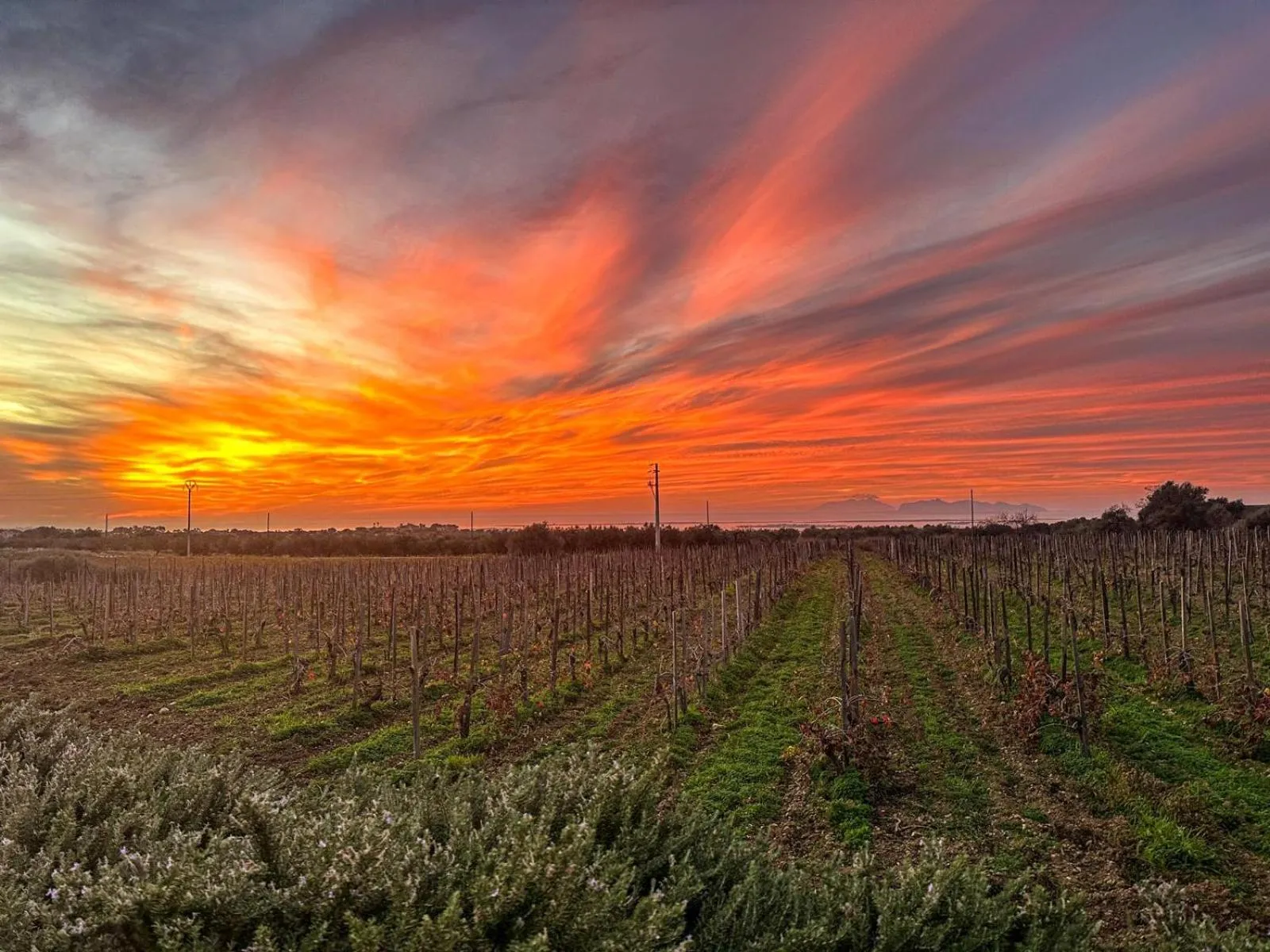 Agriturismo Baglio Donnafranca Wine Resort