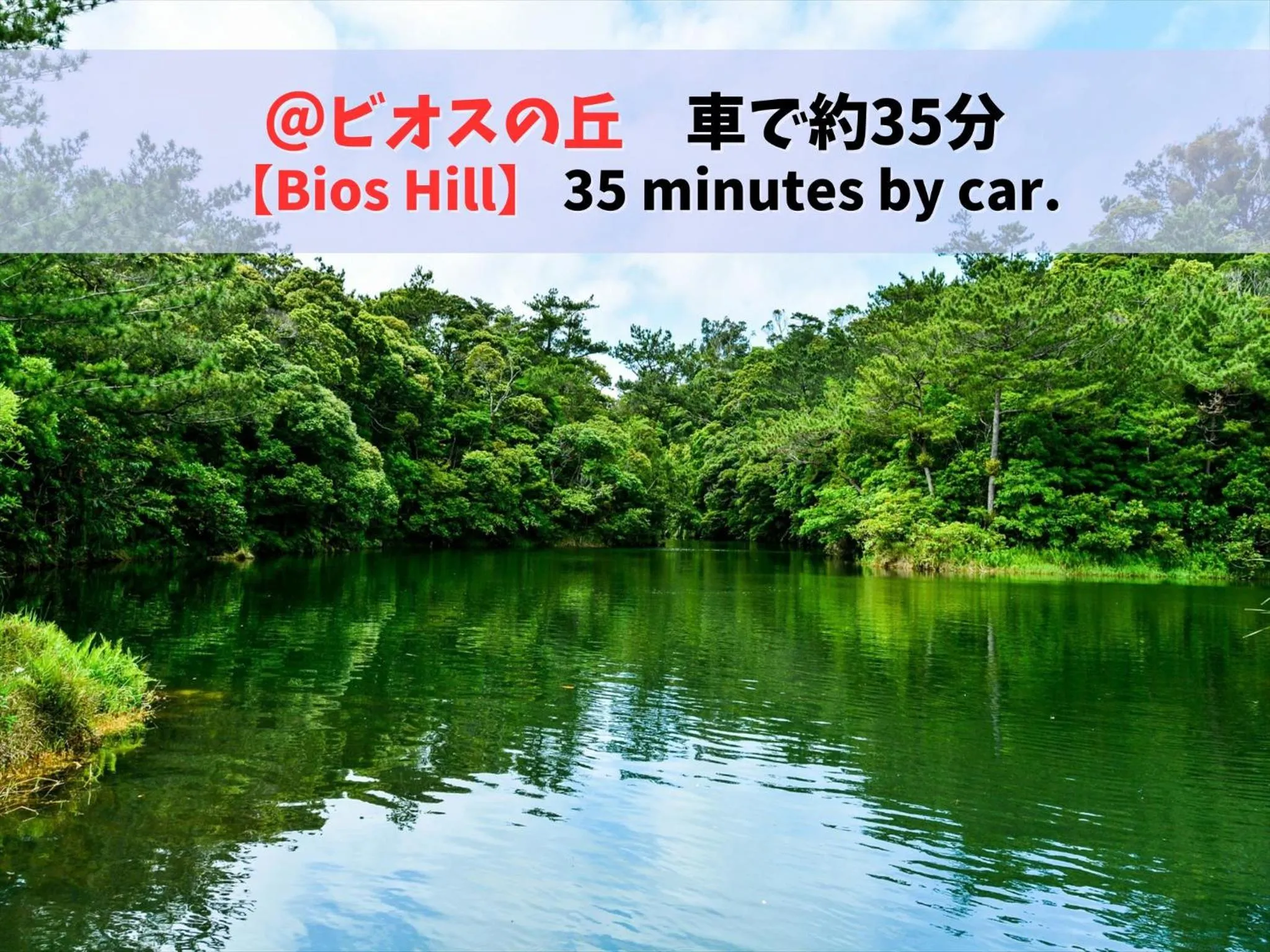 Nearby landmark in HOTEL PACIFIC VIEW Rental car included & pet-friendly