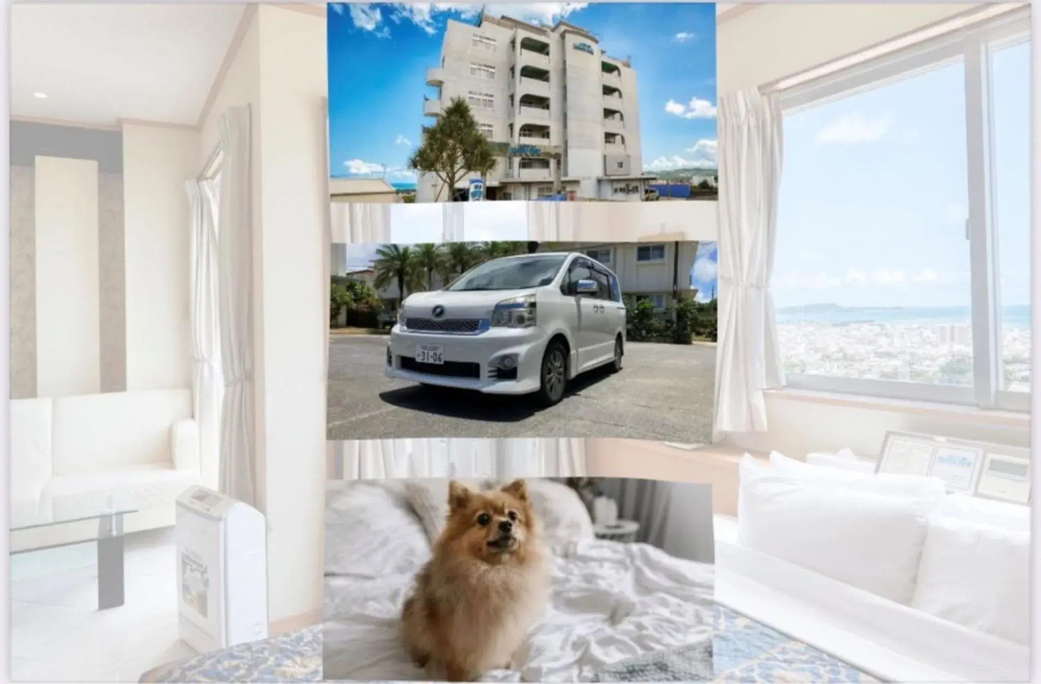 Property building in HOTEL PACIFIC VIEW Rental car included & pet-friendly Property building in HOTEL PACIFIC VIEW Rental car included & pet-friendly