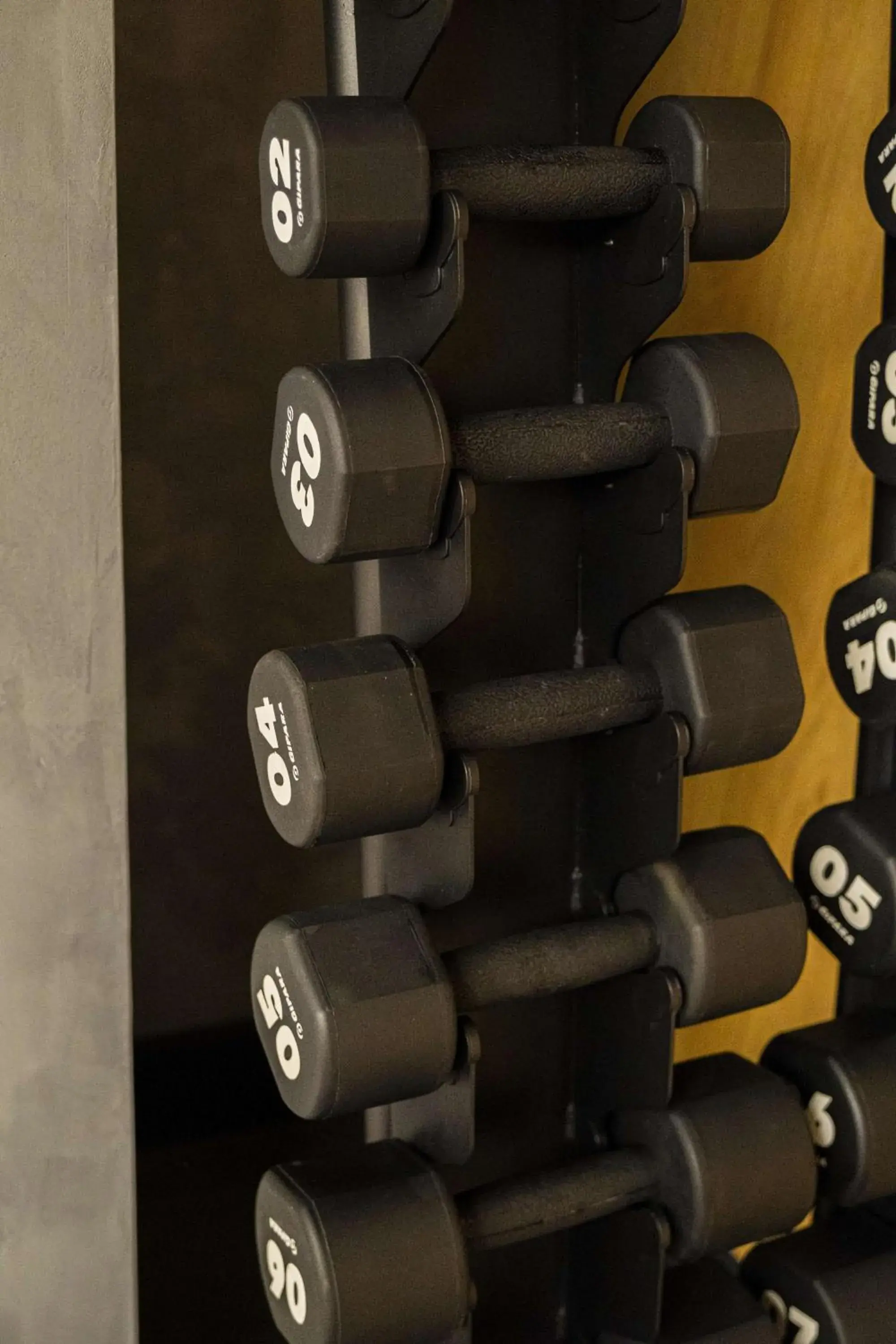 Fitness centre/facilities in Radisson Blu Aurum Hotel, Brasov Fitness centre/facilities in Radisson Blu Aurum Hotel, Brasov