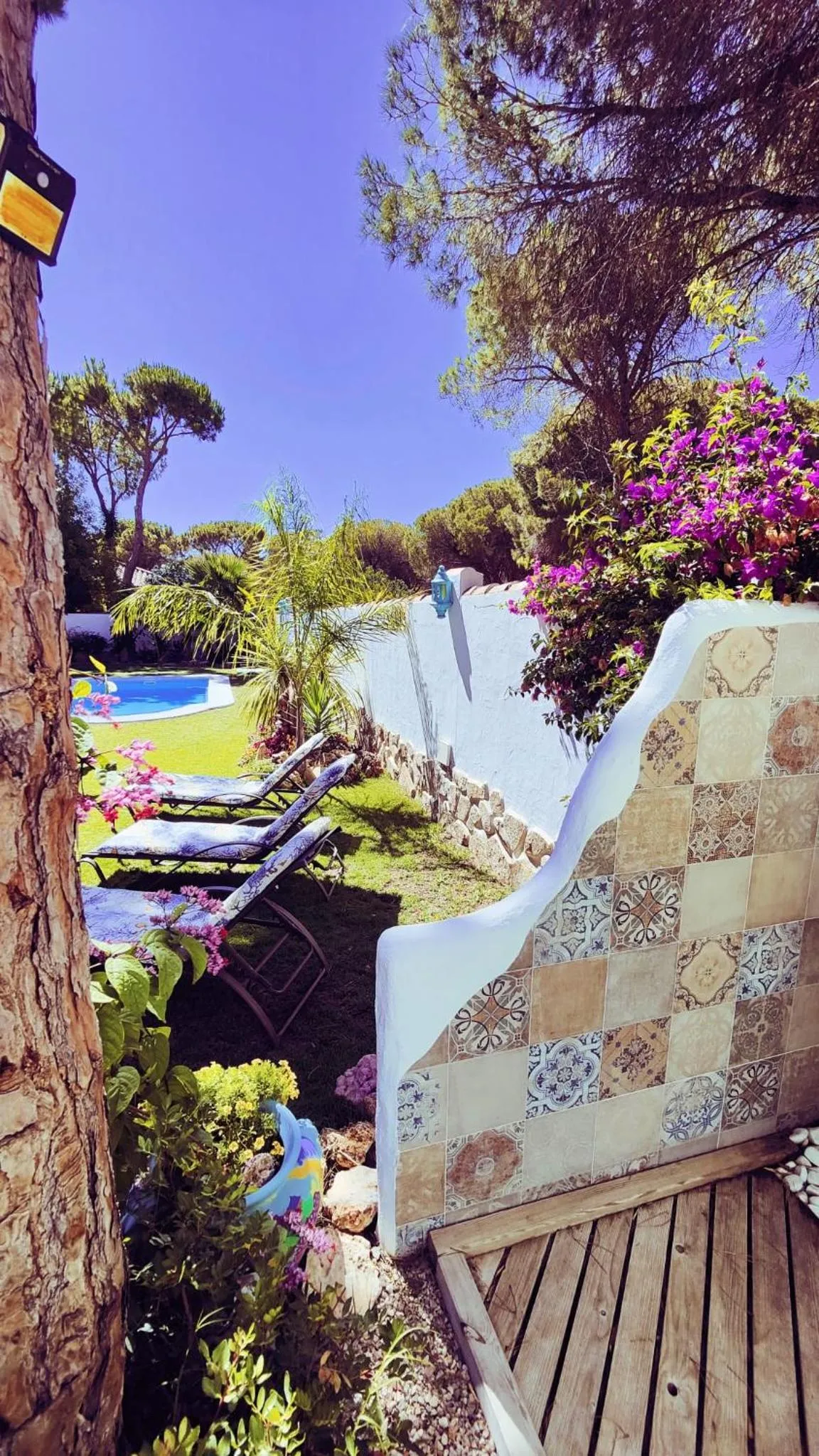 Garden in Villa Zahara
