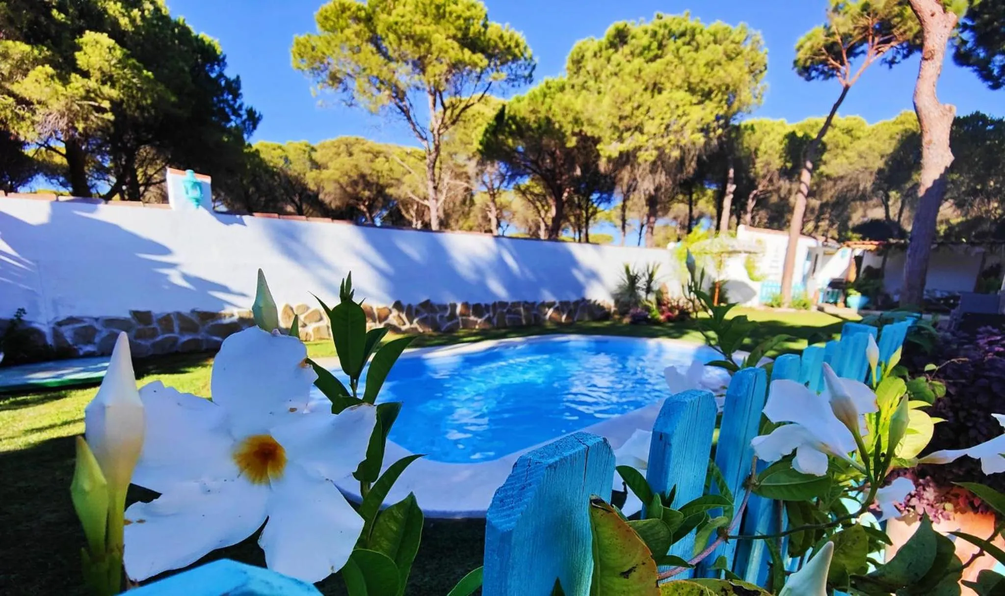 Swimming pool in Villa Zahara