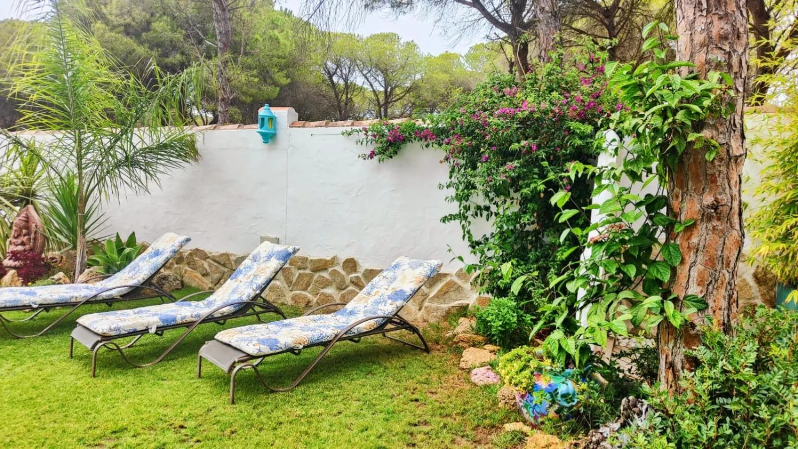 Garden in Villa Zahara