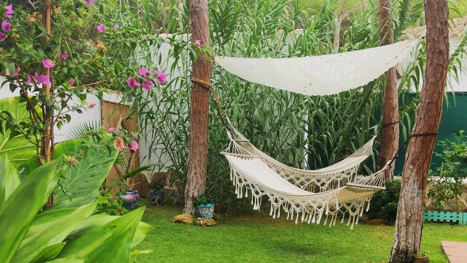 Garden in Villa Zahara