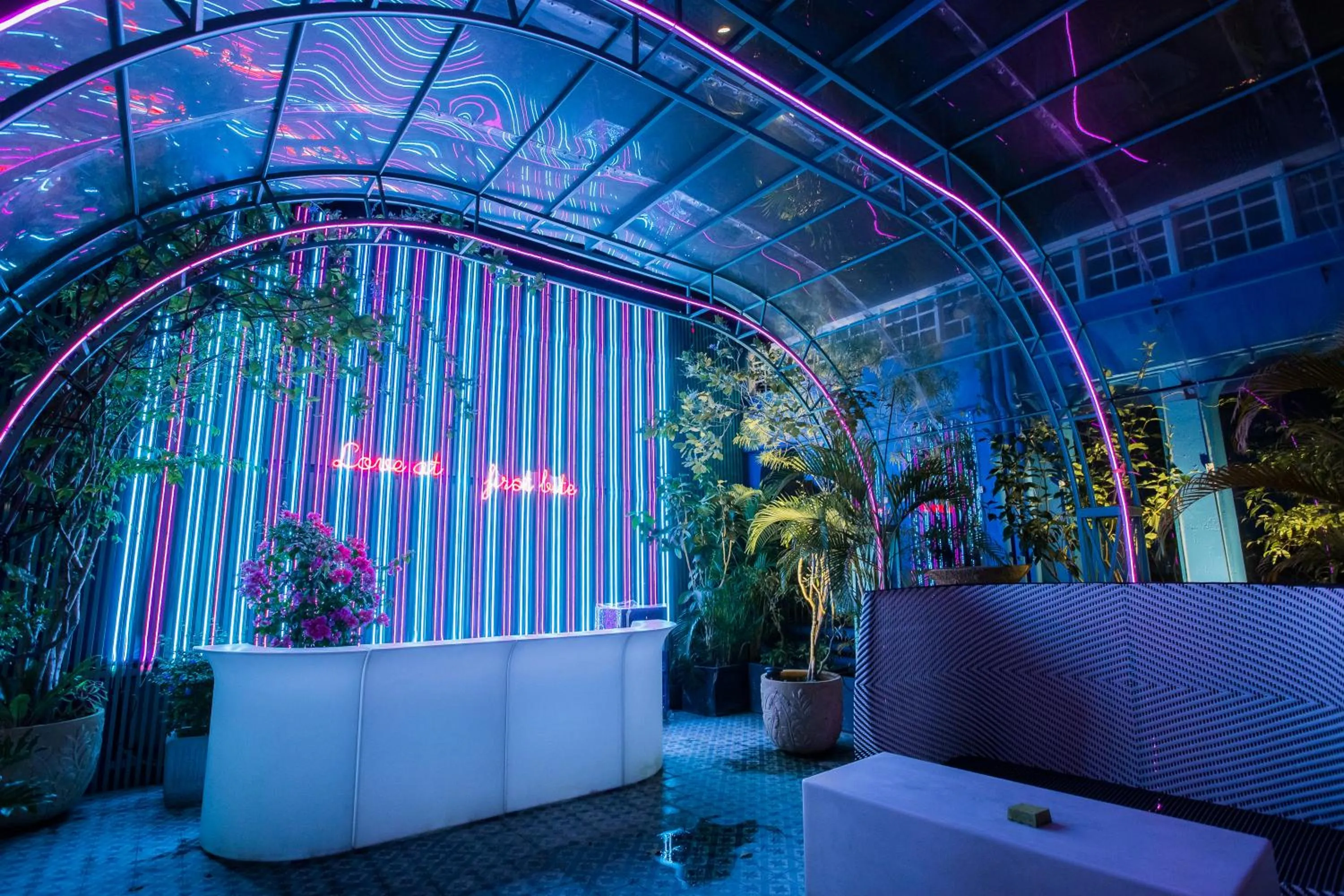 Garden in Anna King Hotel