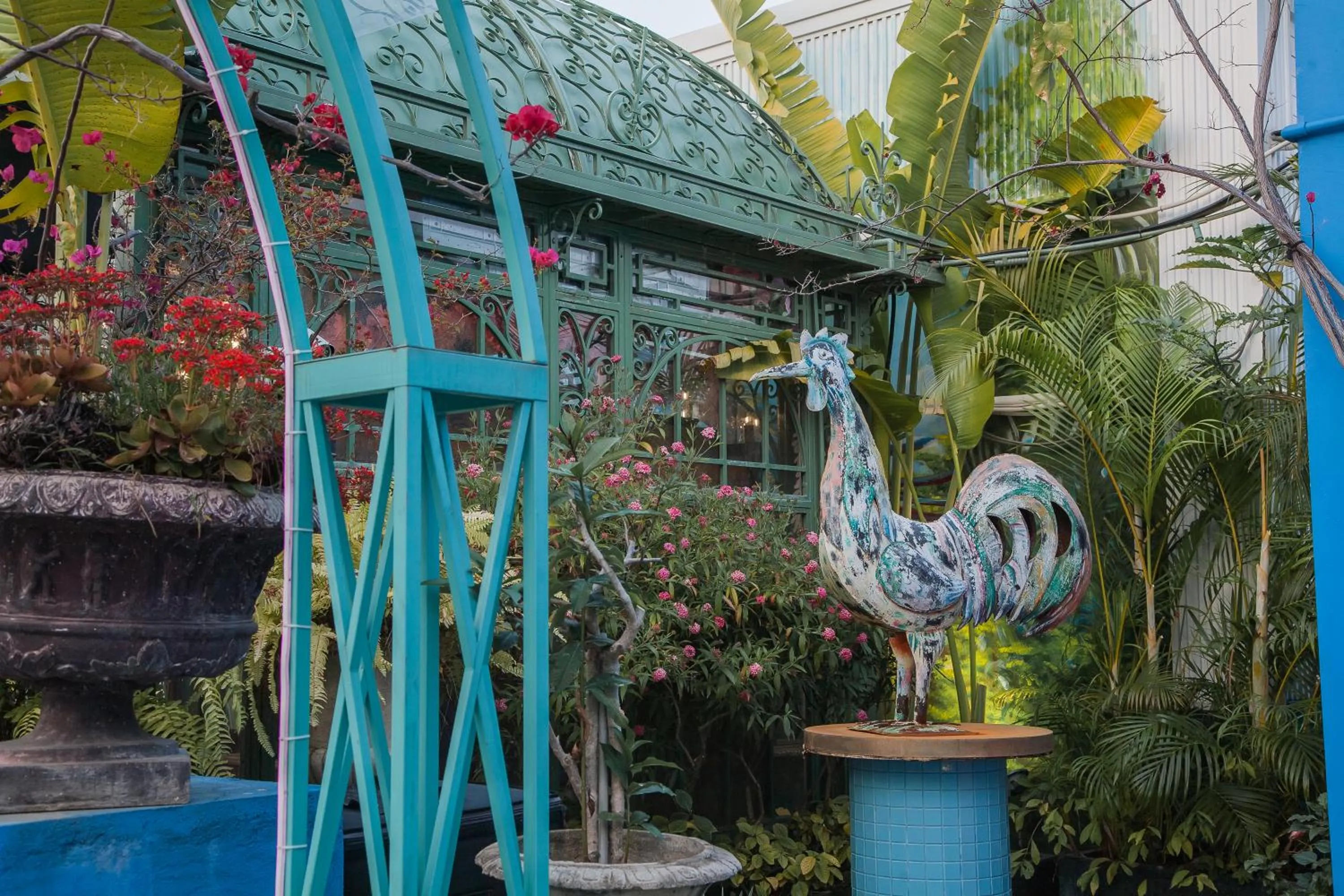 Garden in Anna King Hotel