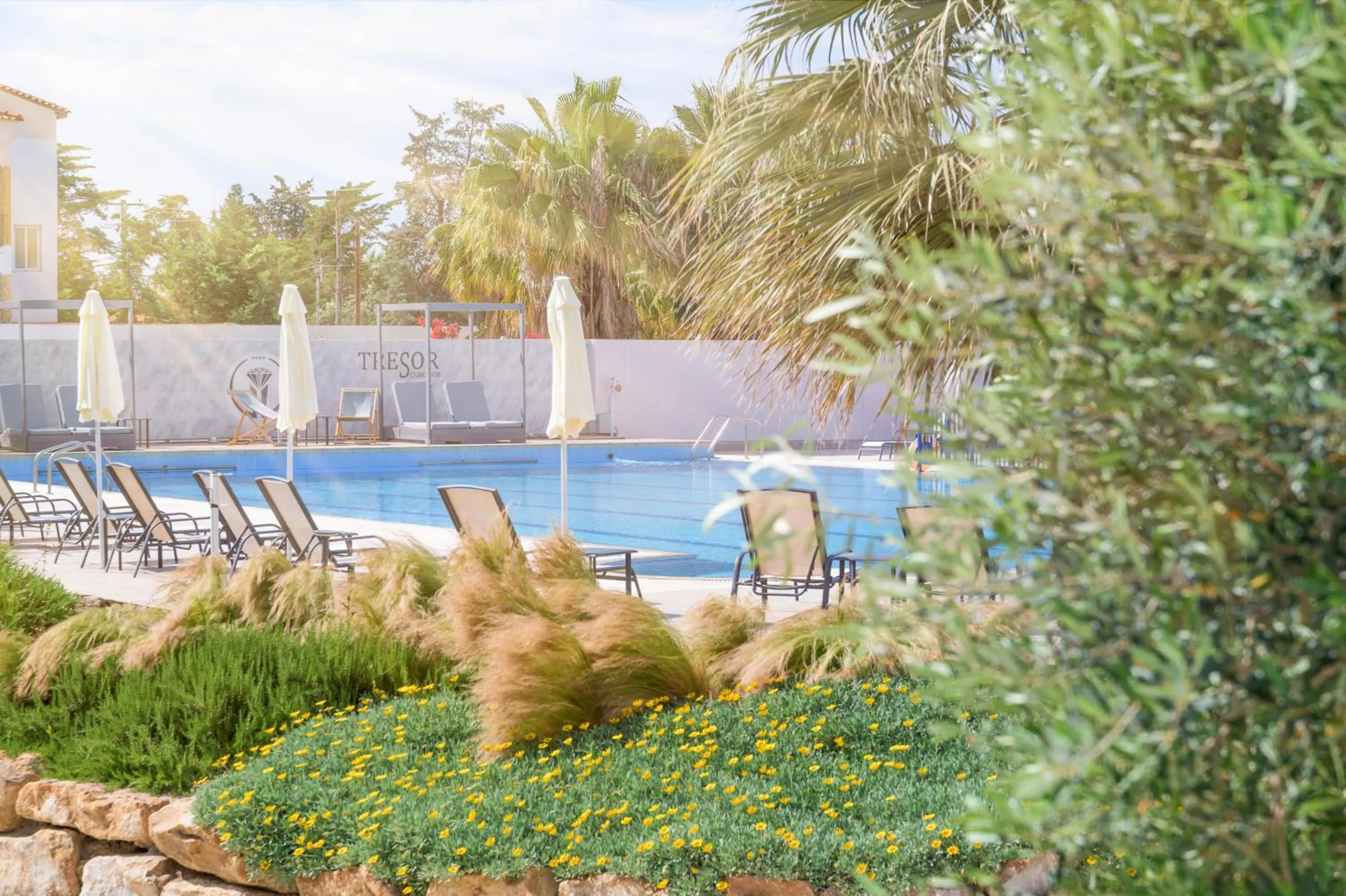 Spring in Tresor Sousouras