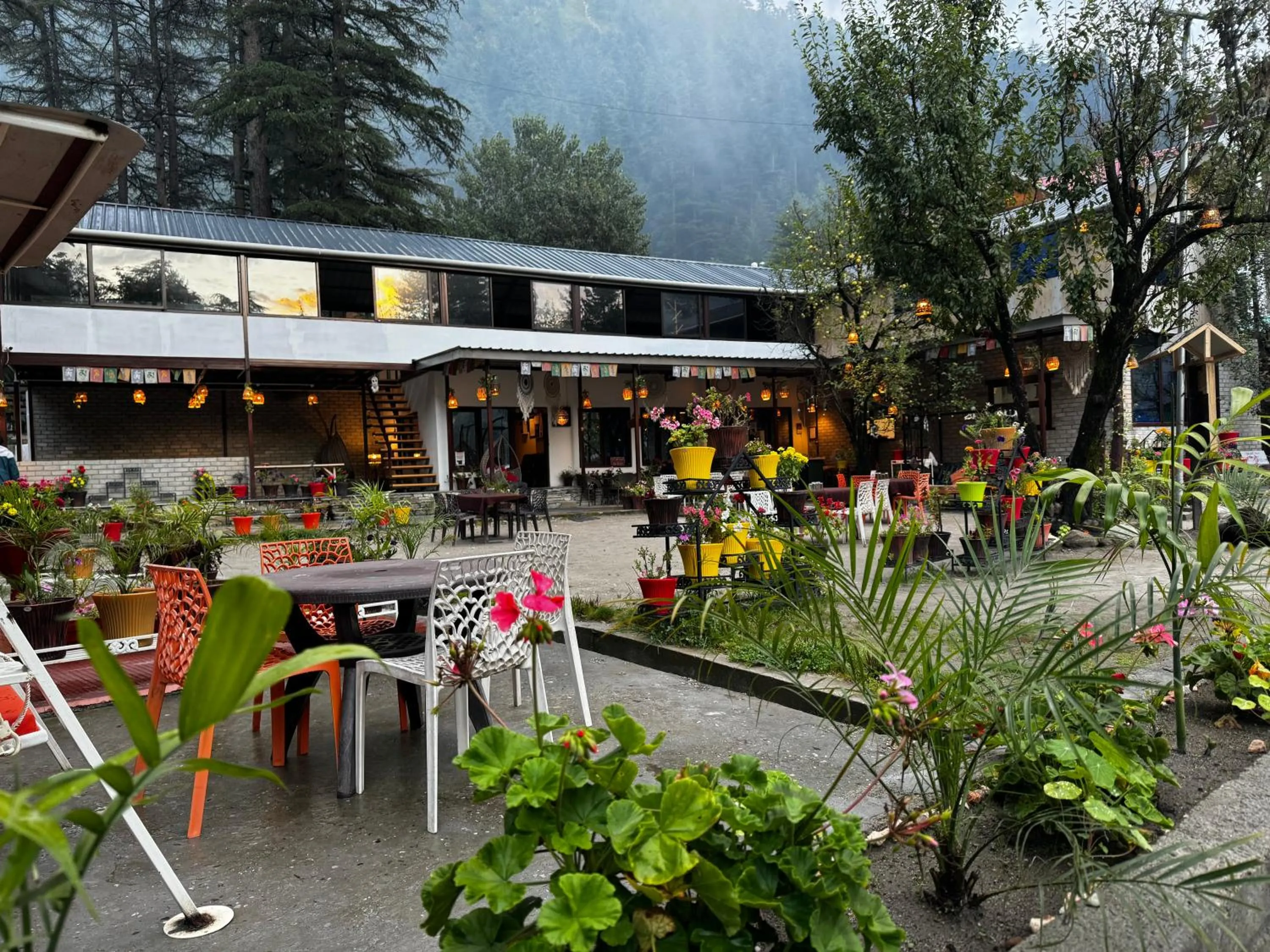 Restaurant/places to eat in The Royal Orchard Kasol