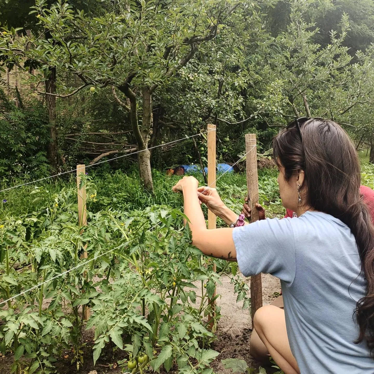 Garden in The Royal Orchard Kasol