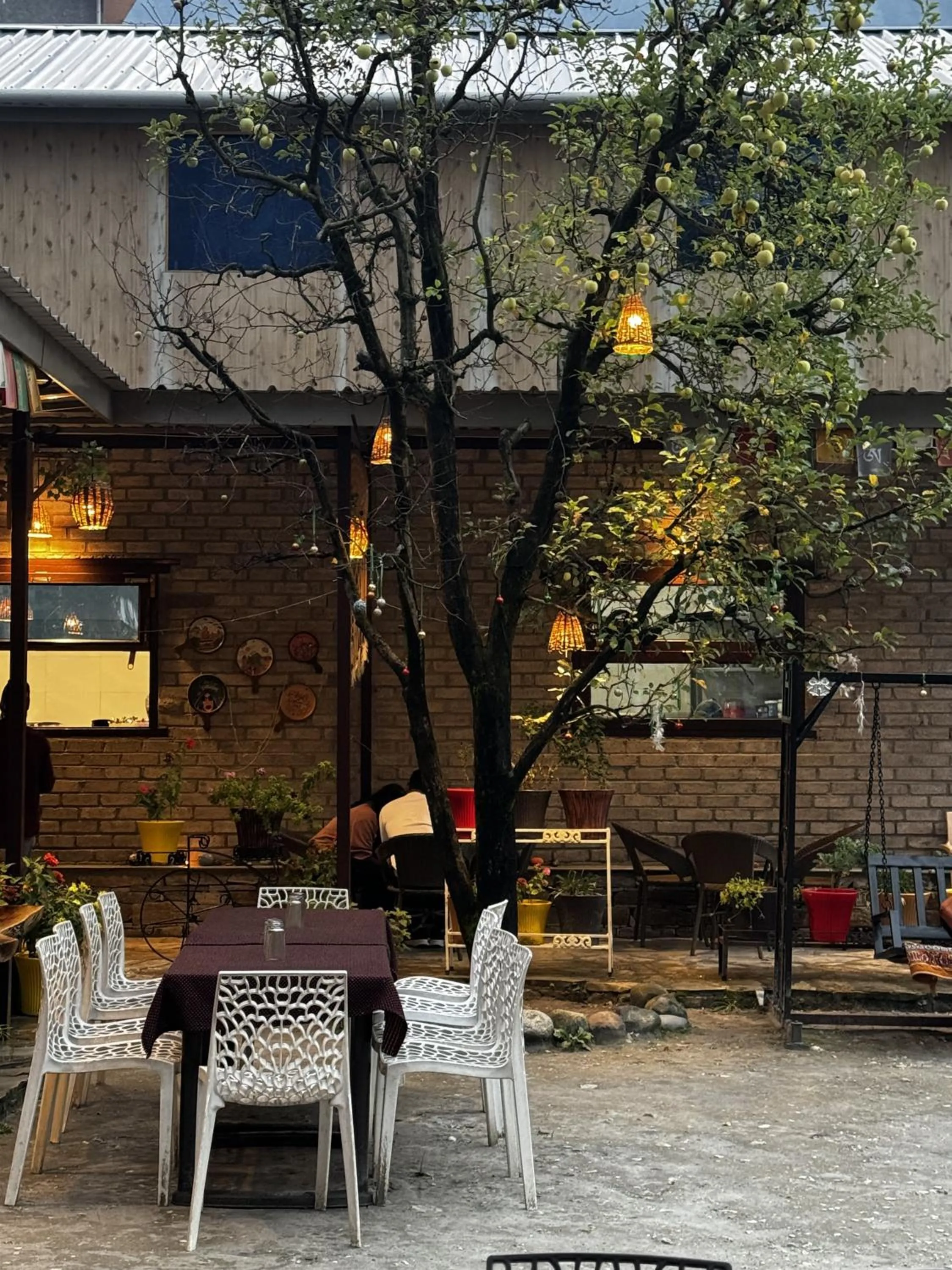 Restaurant/places to eat in The Royal Orchard Kasol