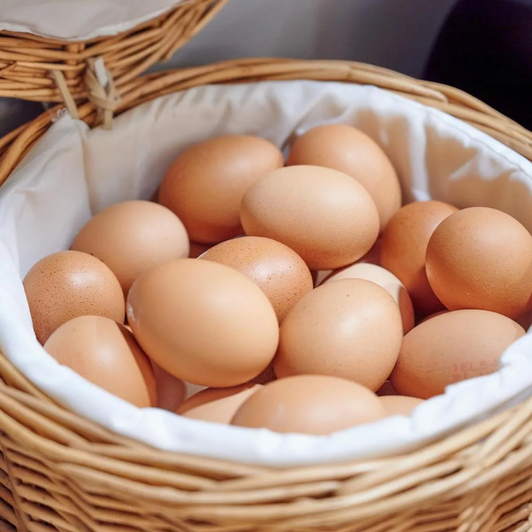 Food and drinks in The Mavili urban stay