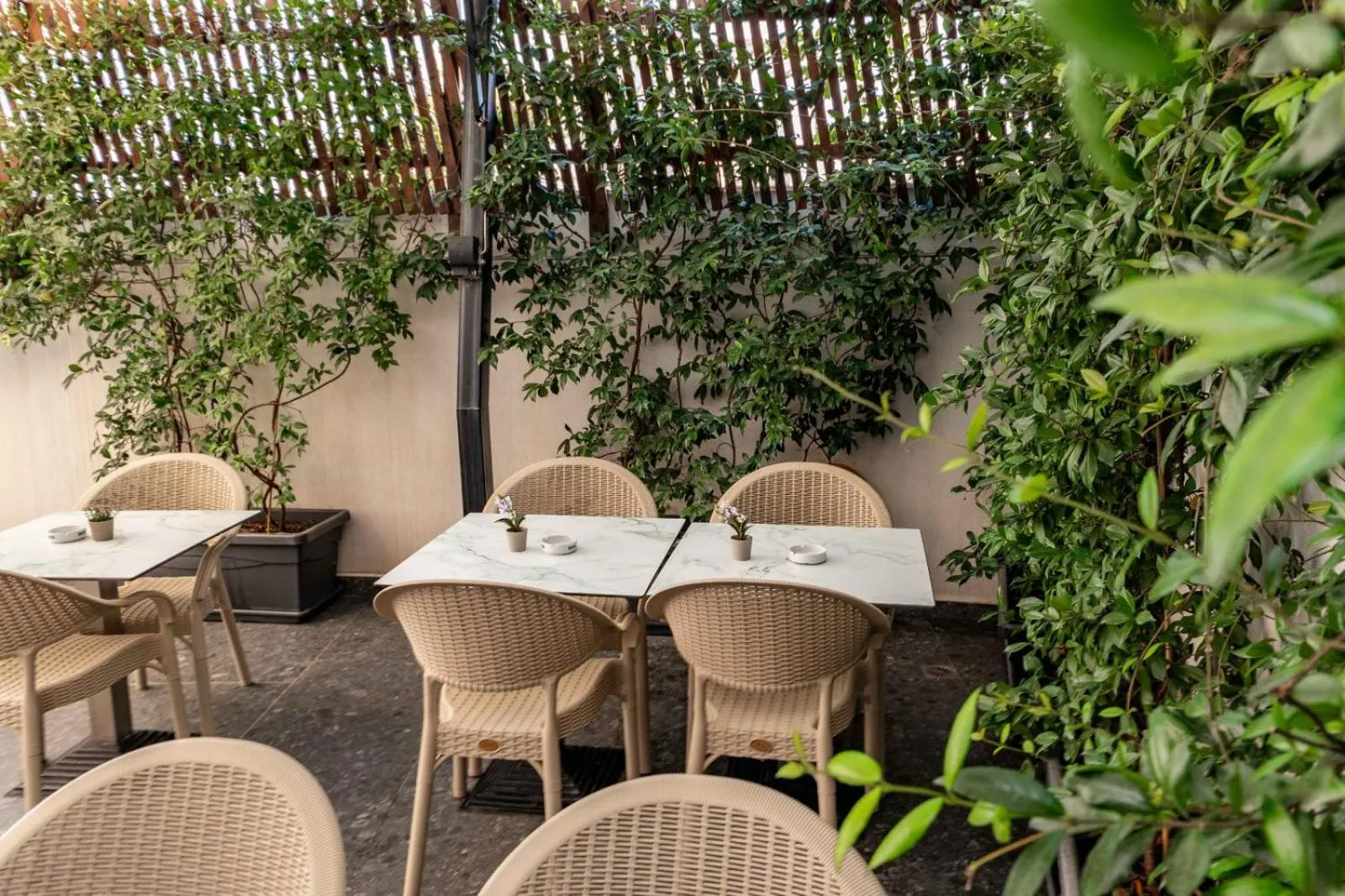 Balcony/Terrace in Hotel Portanova