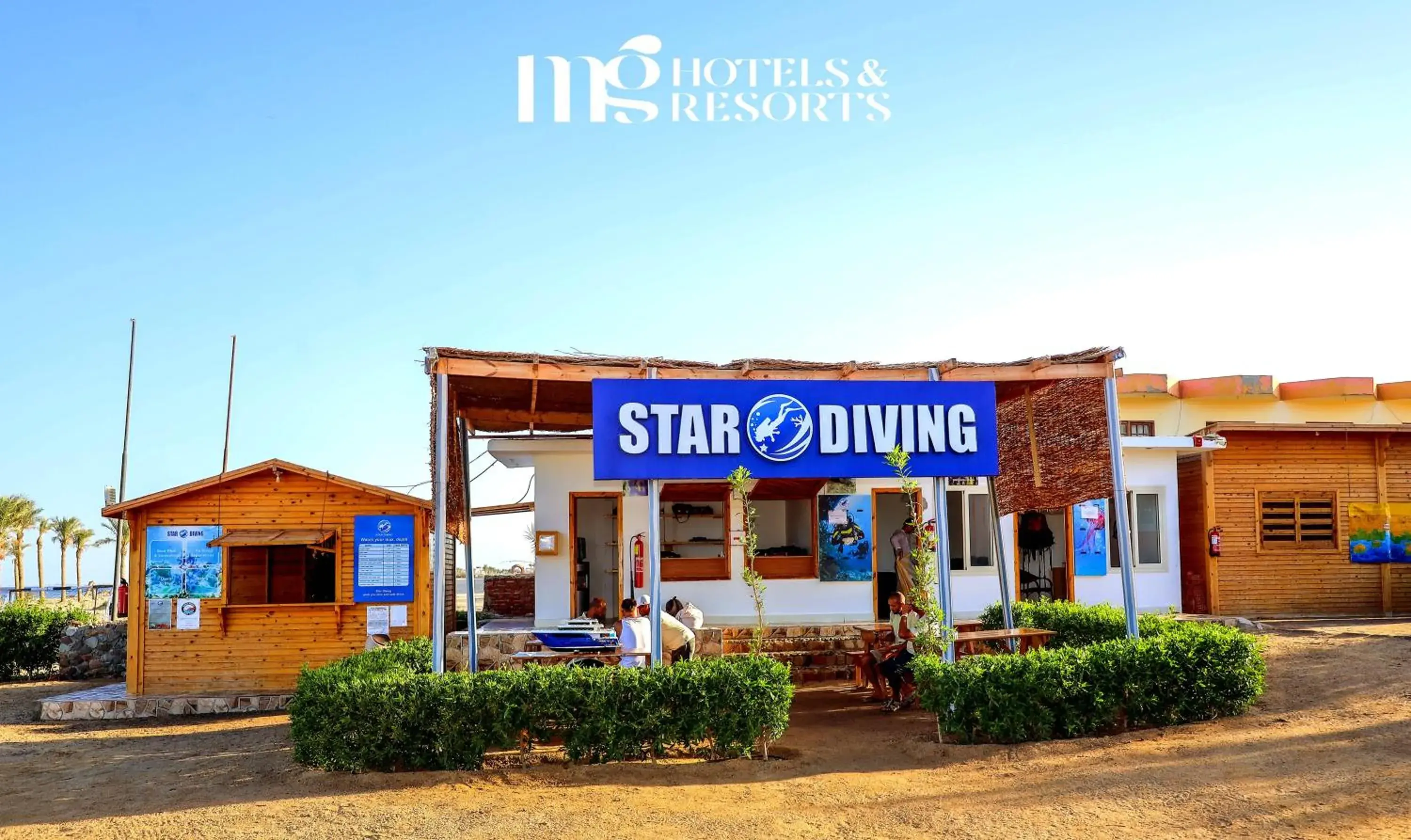 Diving in MG Alexander The Great Hotel Diving in MG Alexander The Great Hotel