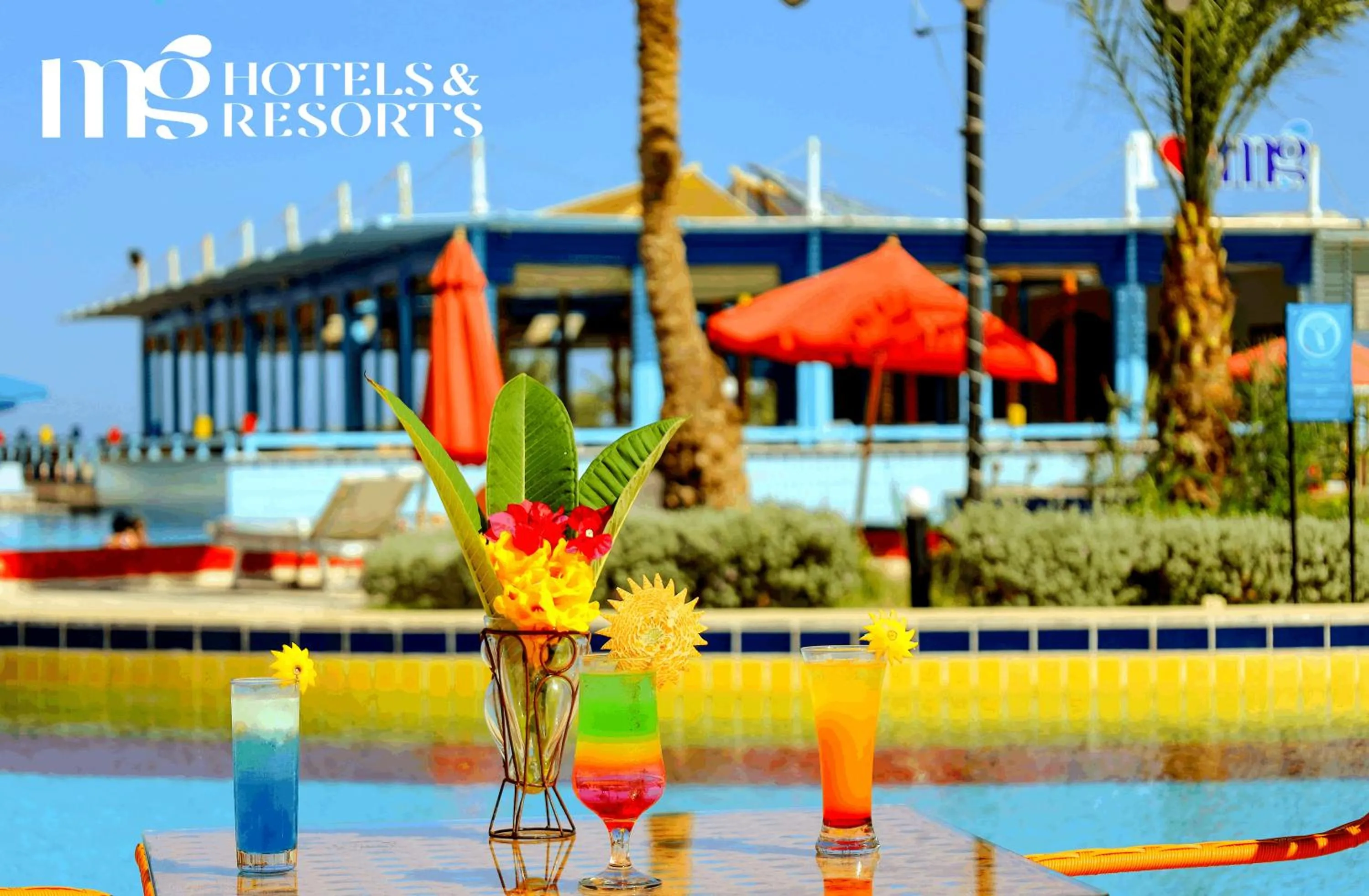 Lounge or bar in MG Alexander The Great Hotel