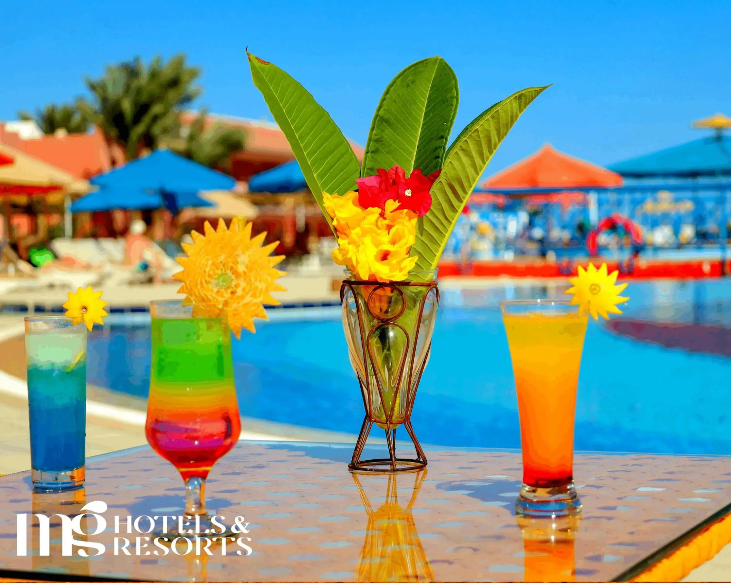 Lounge or bar in MG Alexander The Great Hotel Lounge or bar in MG Alexander The Great Hotel