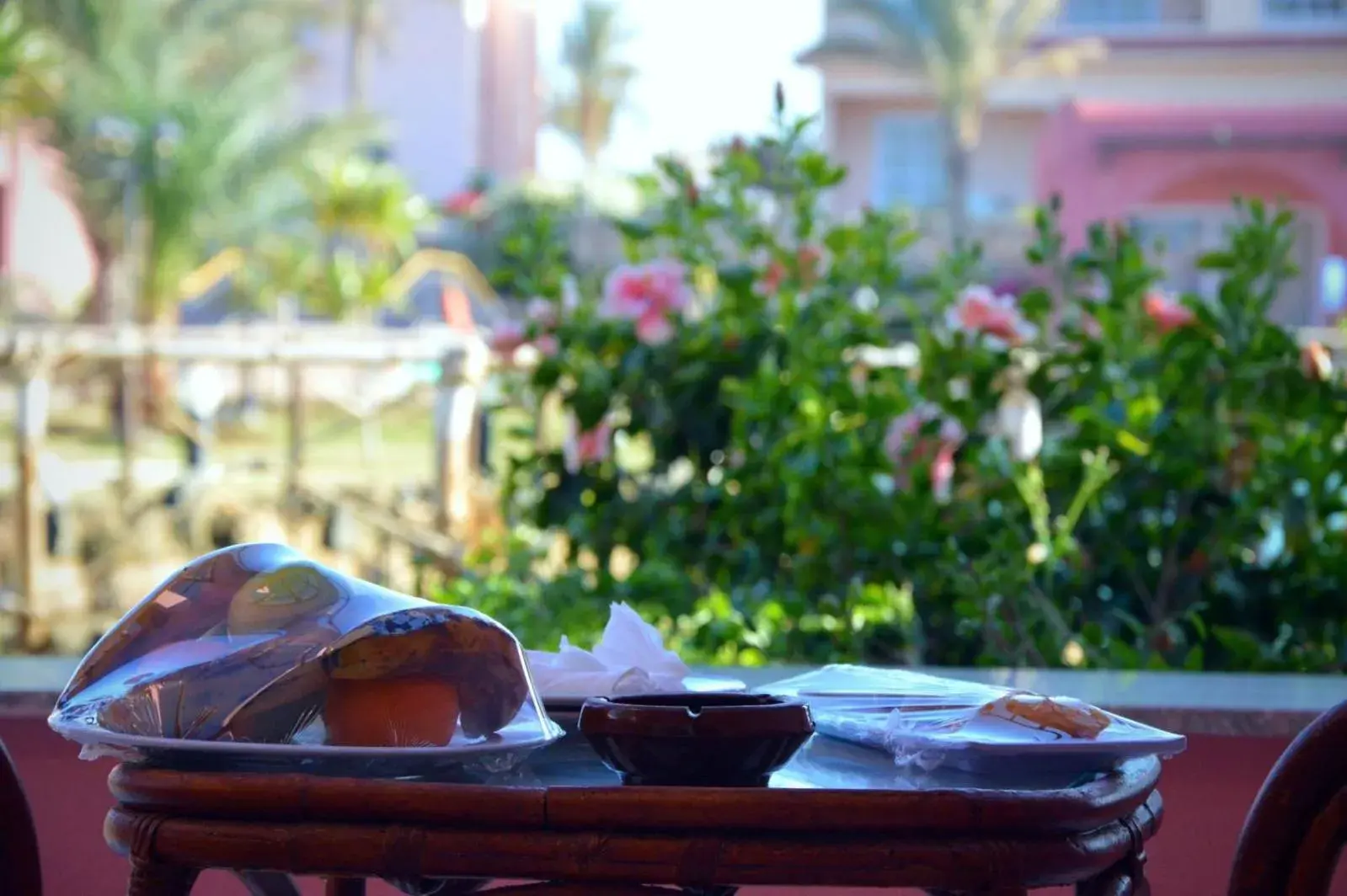 Garden view in MG Alexander The Great Hotel Garden view in MG Alexander The Great Hotel