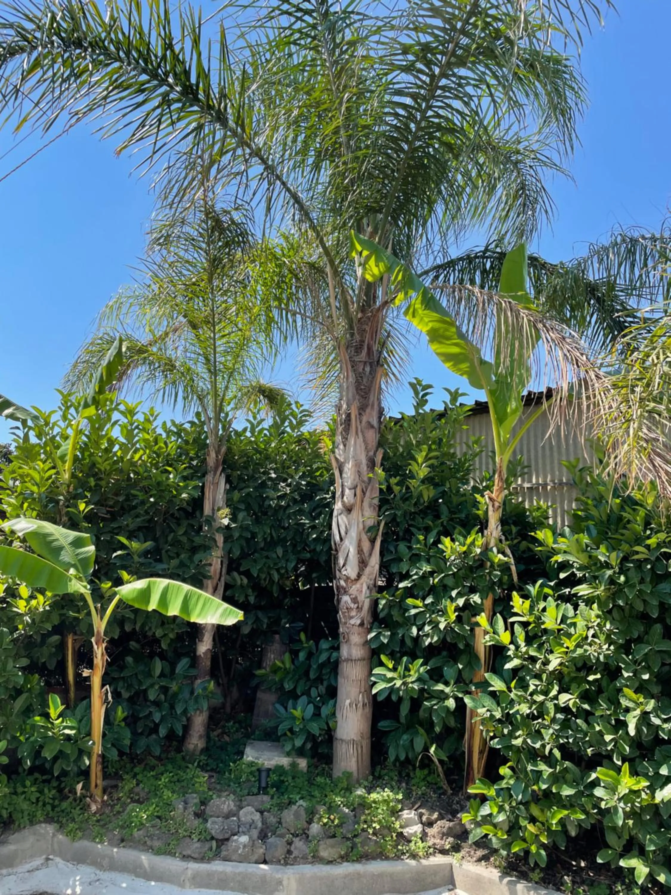 B&B PERNA Panoramic Rooms