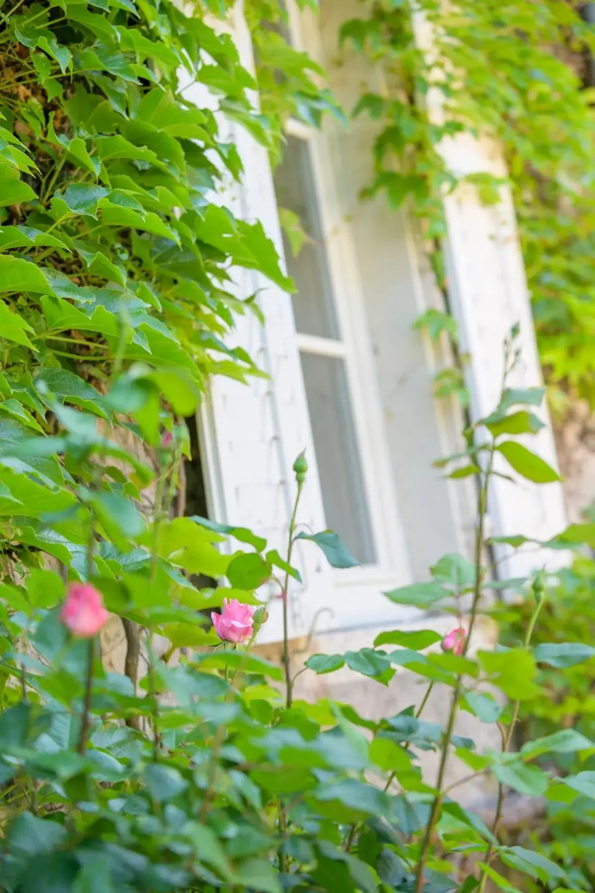 Facade/entrance in Logis HOTEL DU PARC Facade/entrance in Logis HOTEL DU PARC
