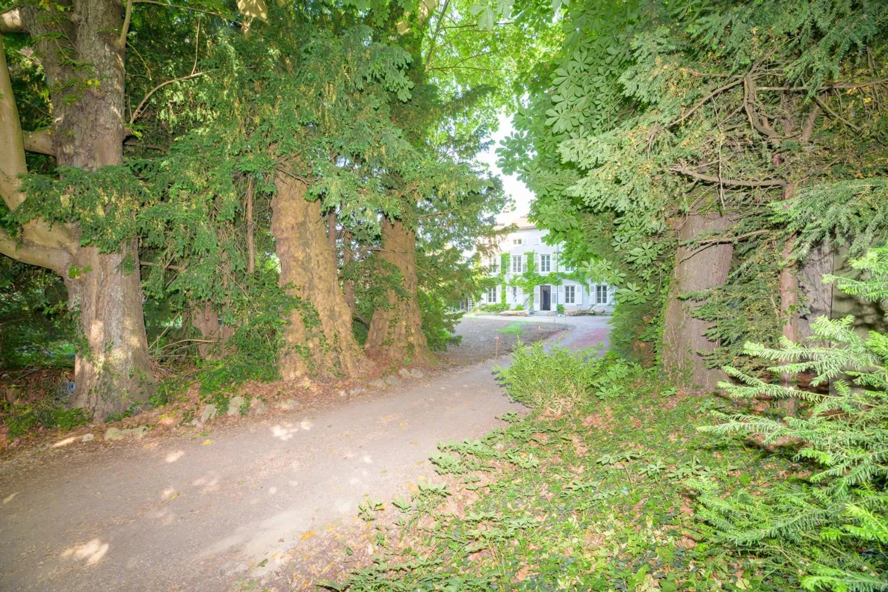 Garden in Logis HOTEL DU PARC
